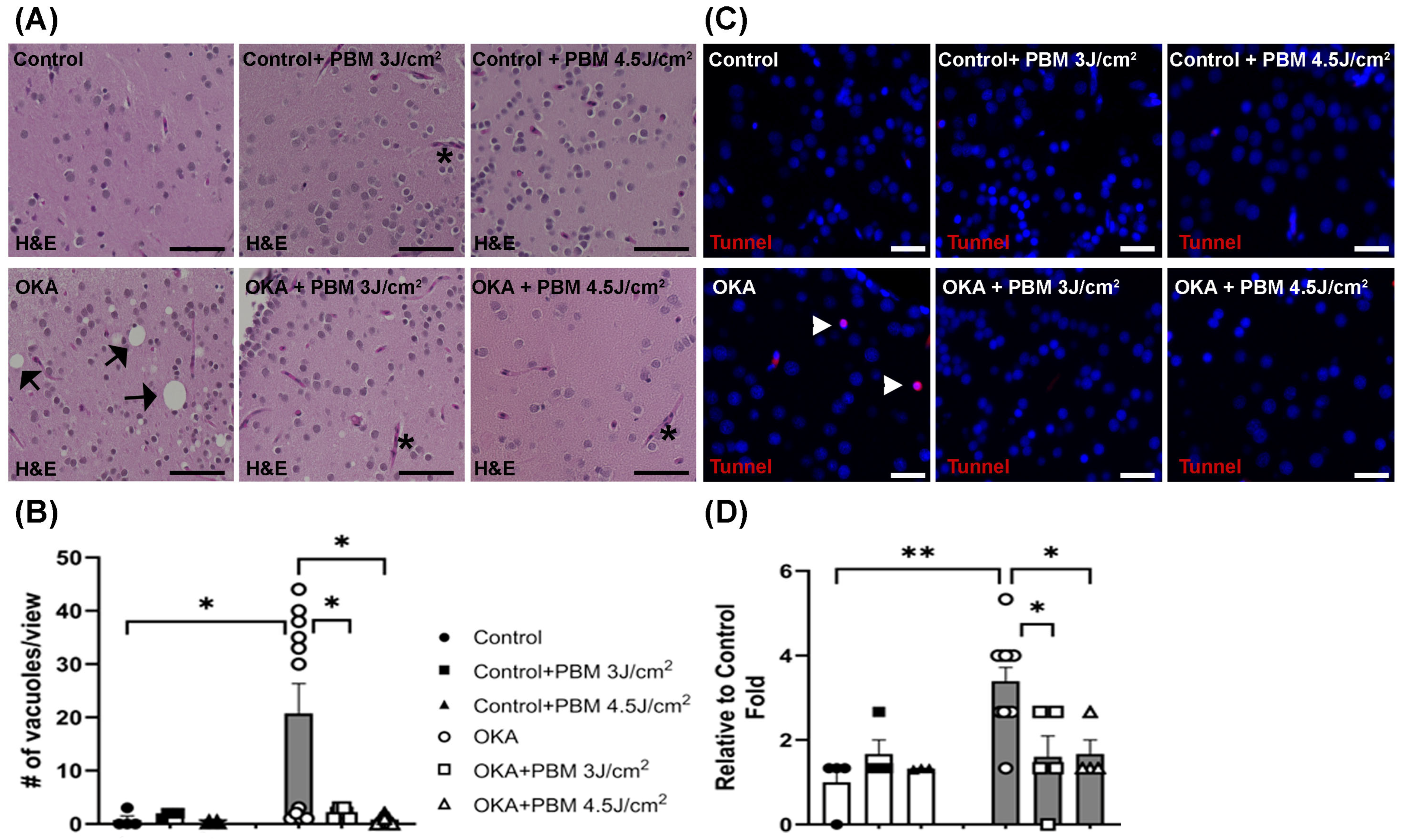 Biomedicines 13 03121 g005