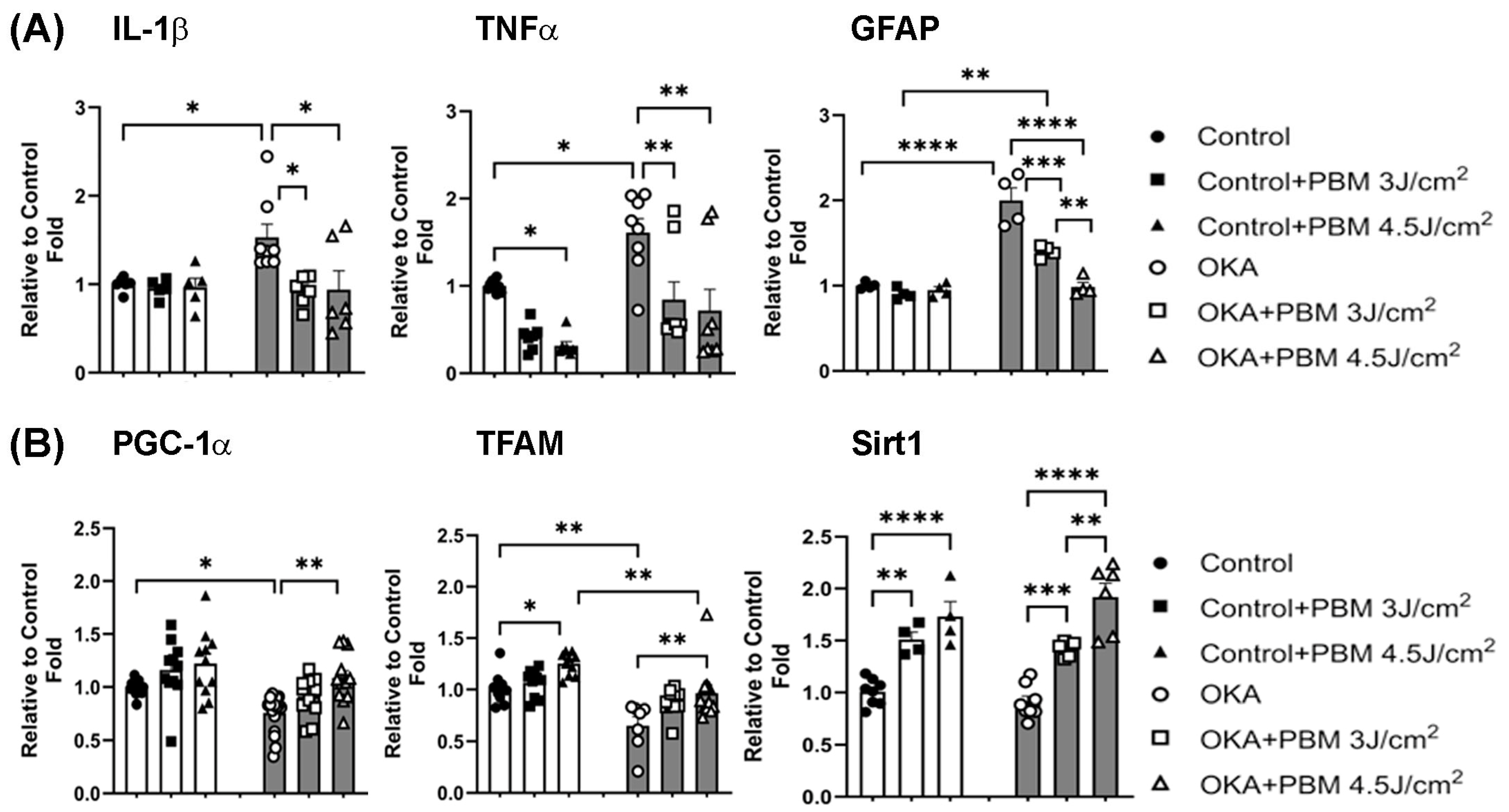 Biomedicines 13 03121 g006