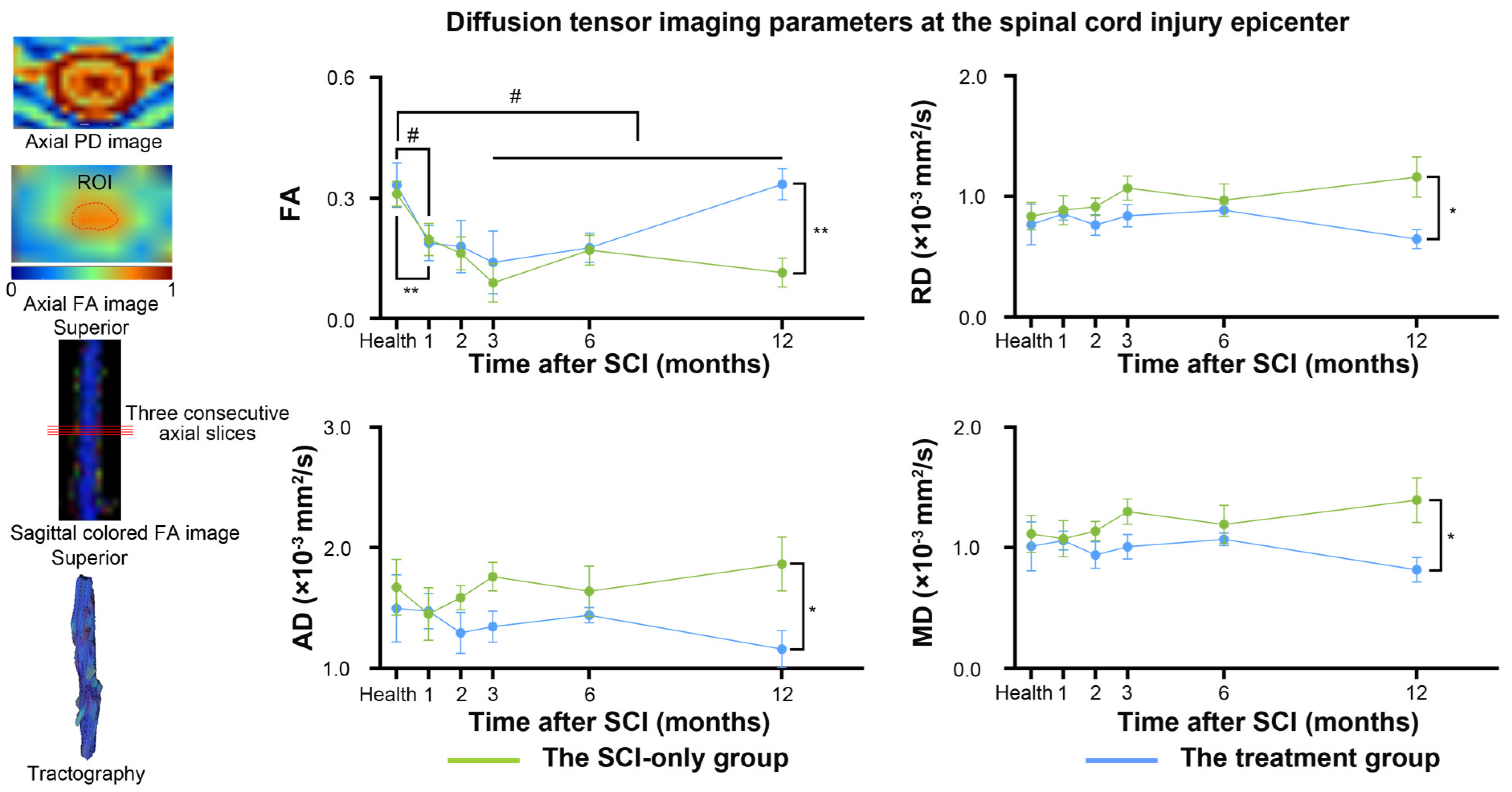 Biomedicines 13 03124 g004