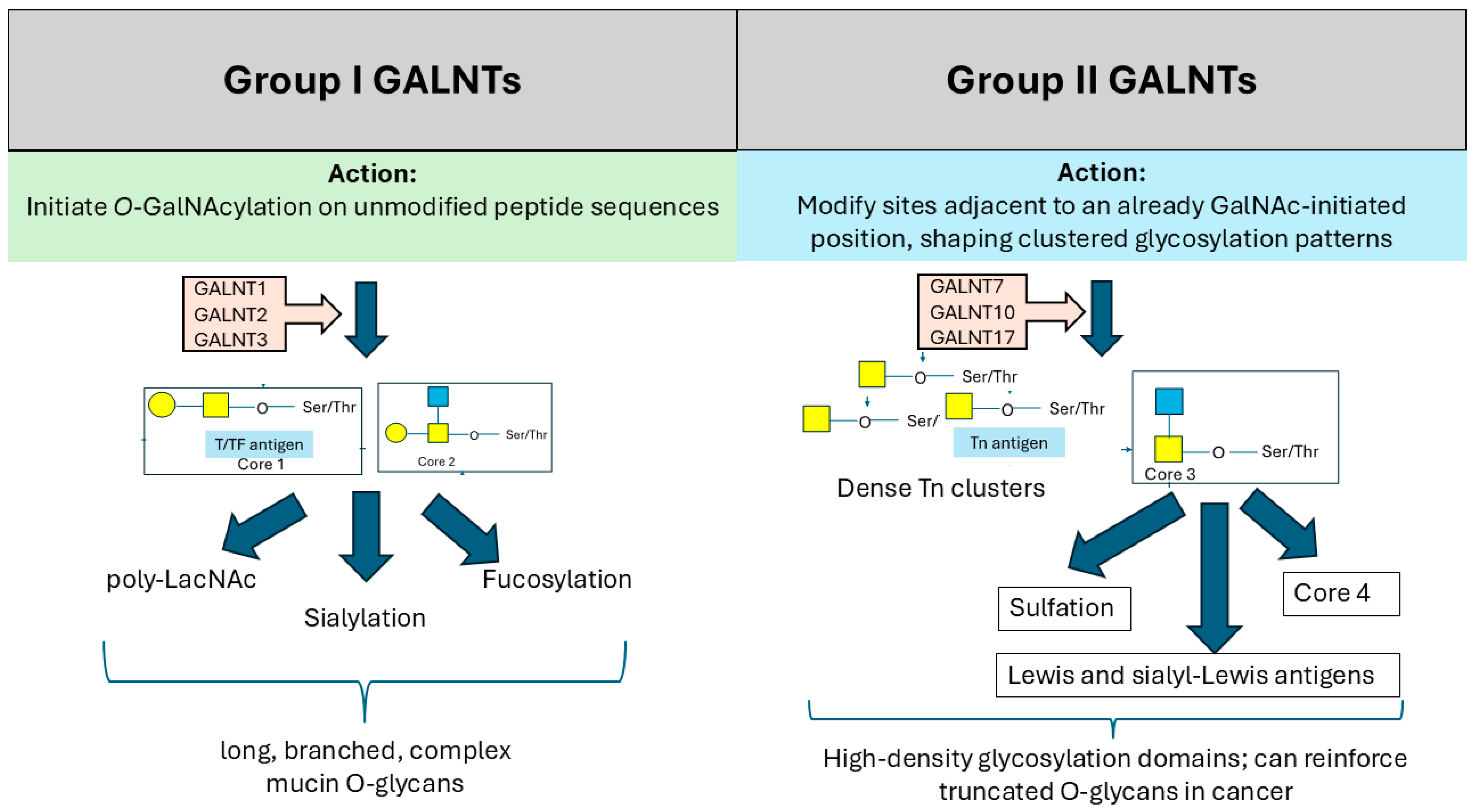Biomedicines 14 00005 g002