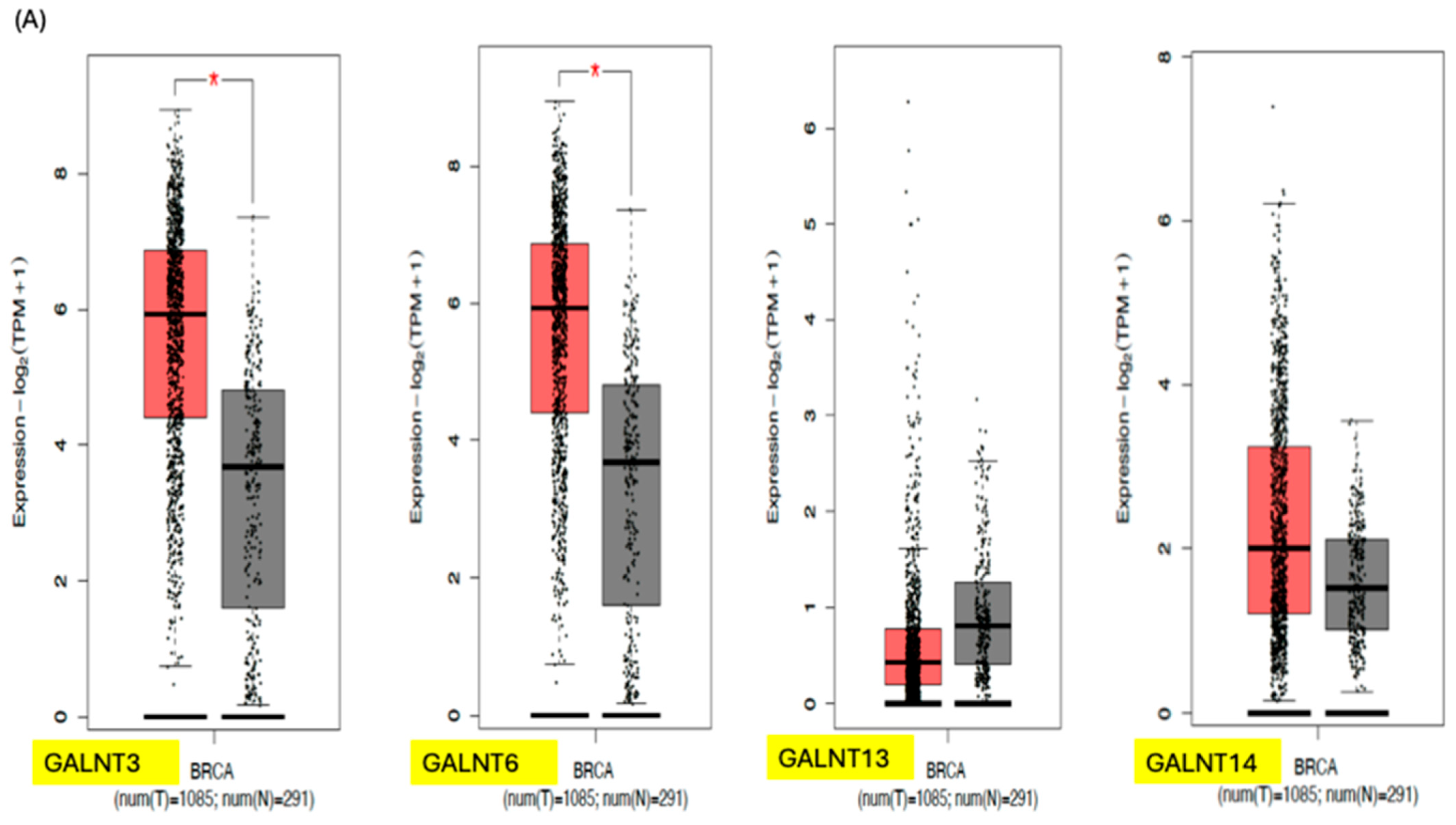 Biomedicines 14 00005 g005a