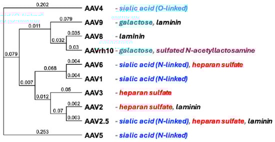 Biomedicines 14 00025 g001
