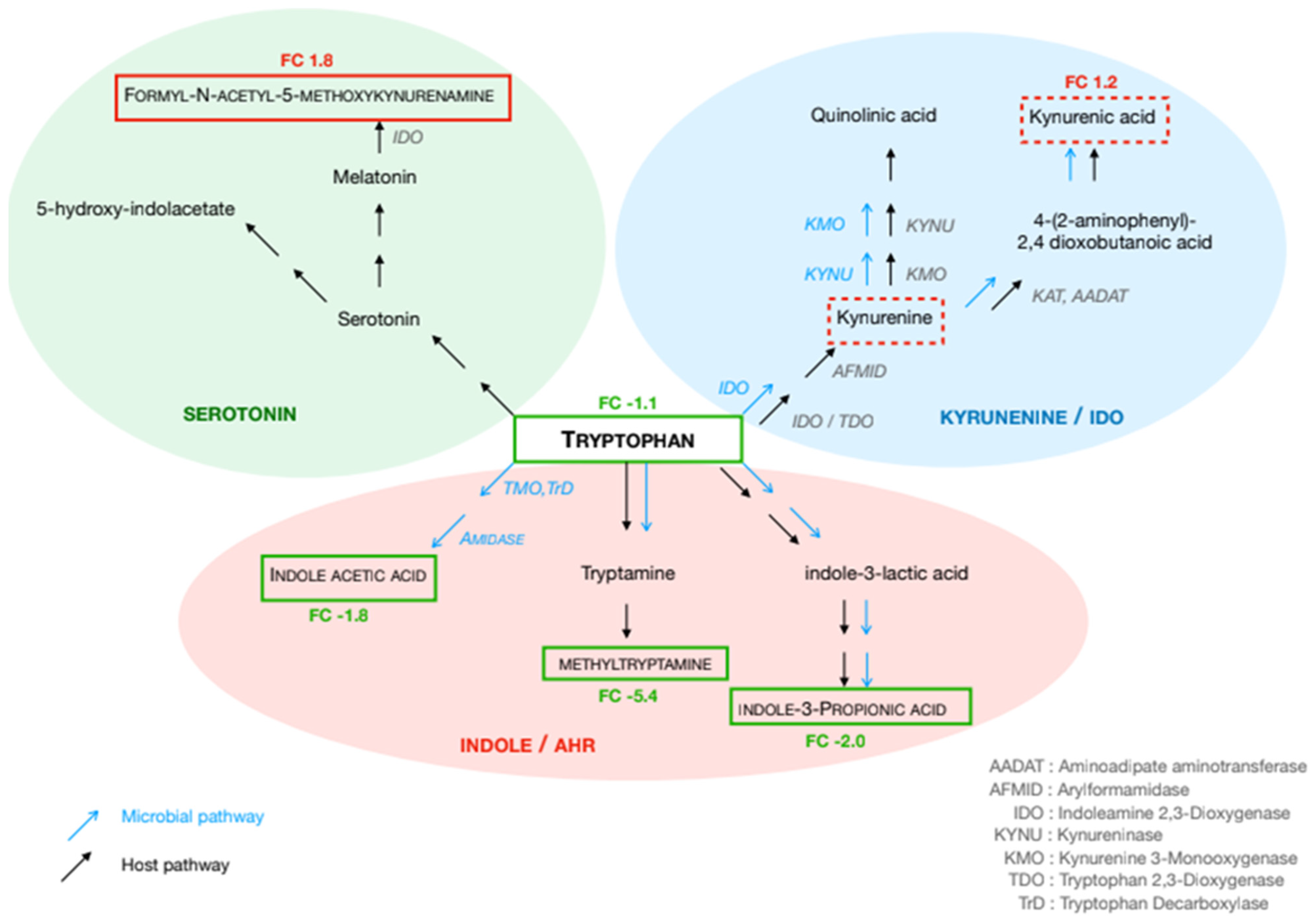 Biomedicines 14 00026 g002
