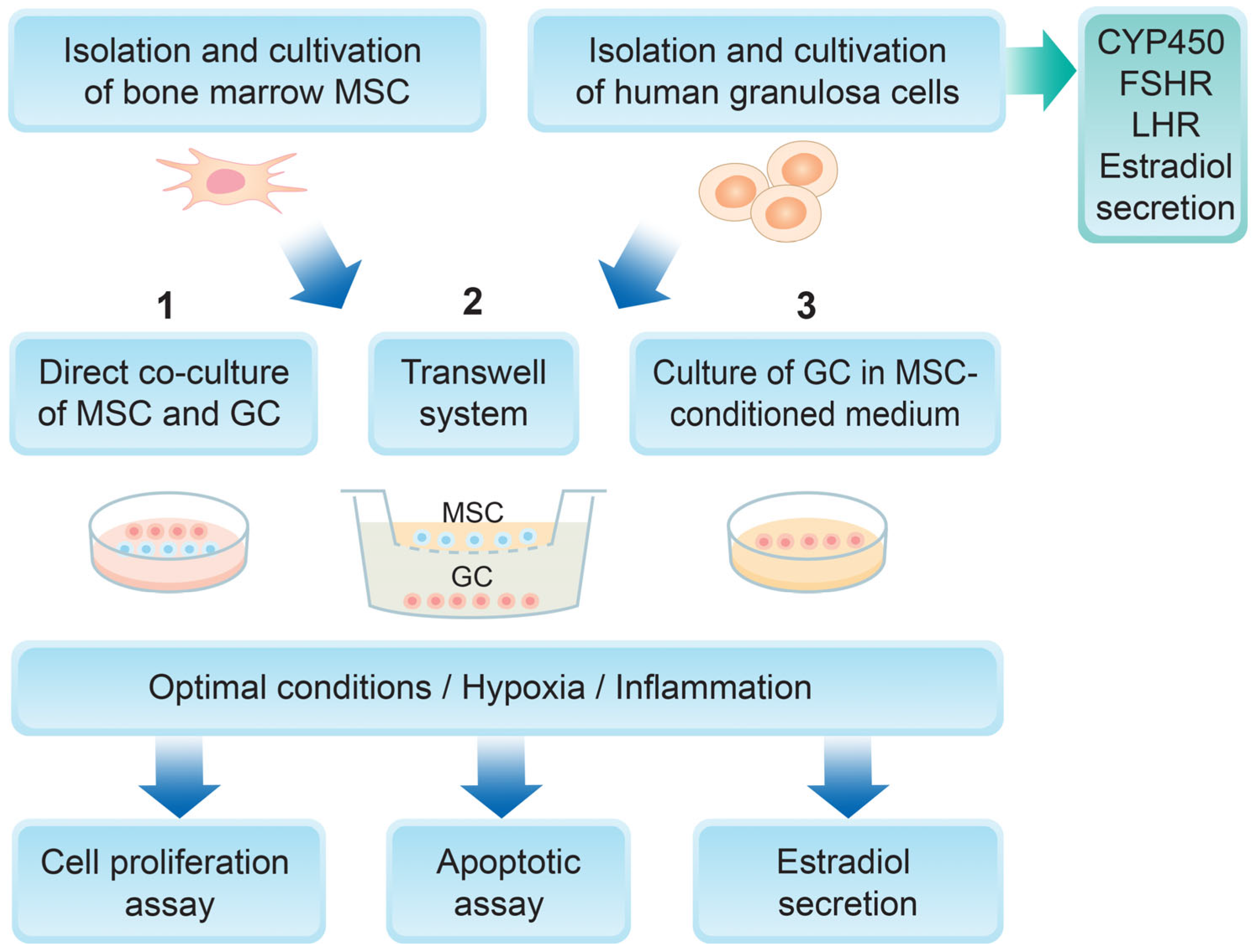 Biomedicines 14 00027 g001