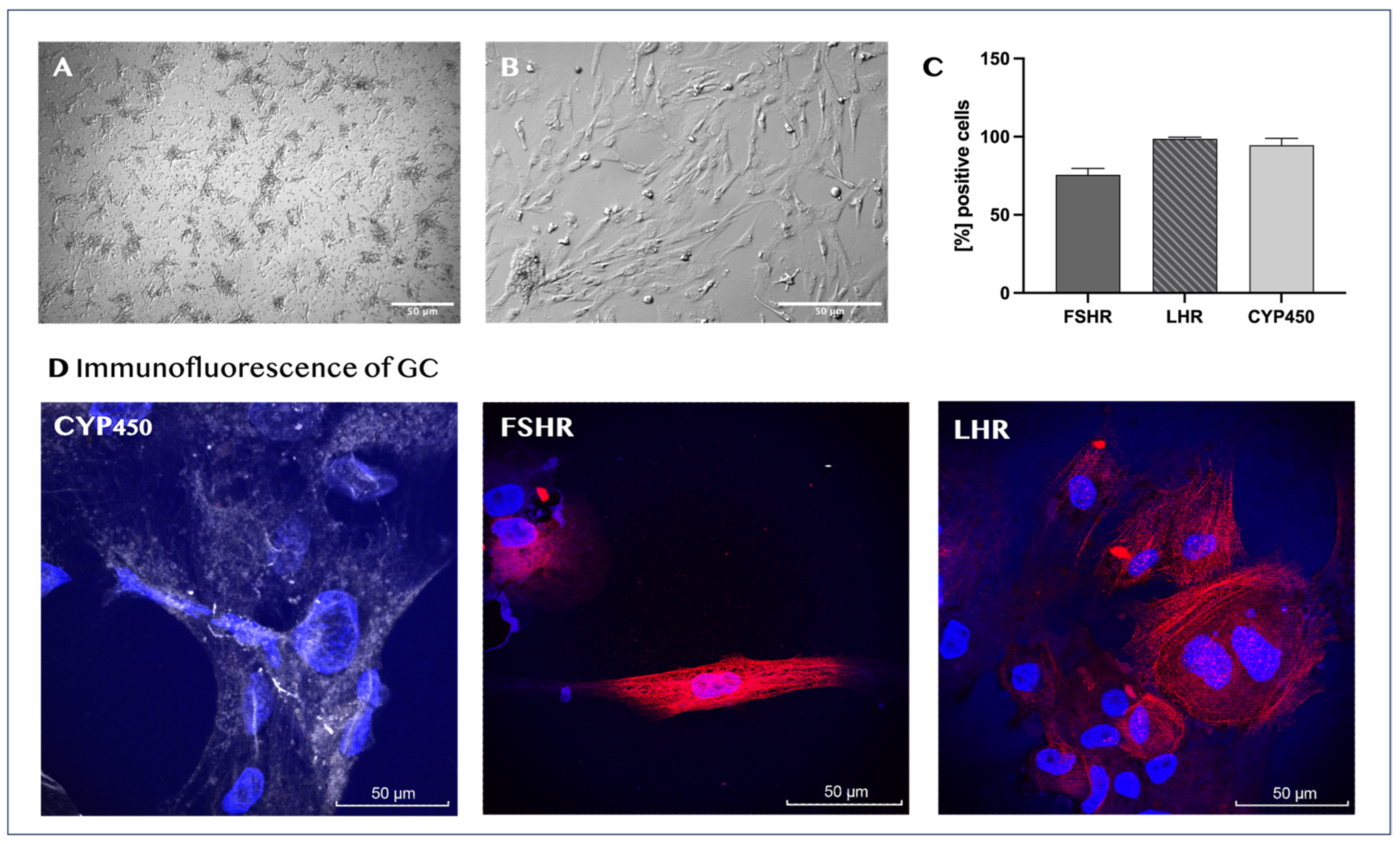 Biomedicines 14 00027 g002