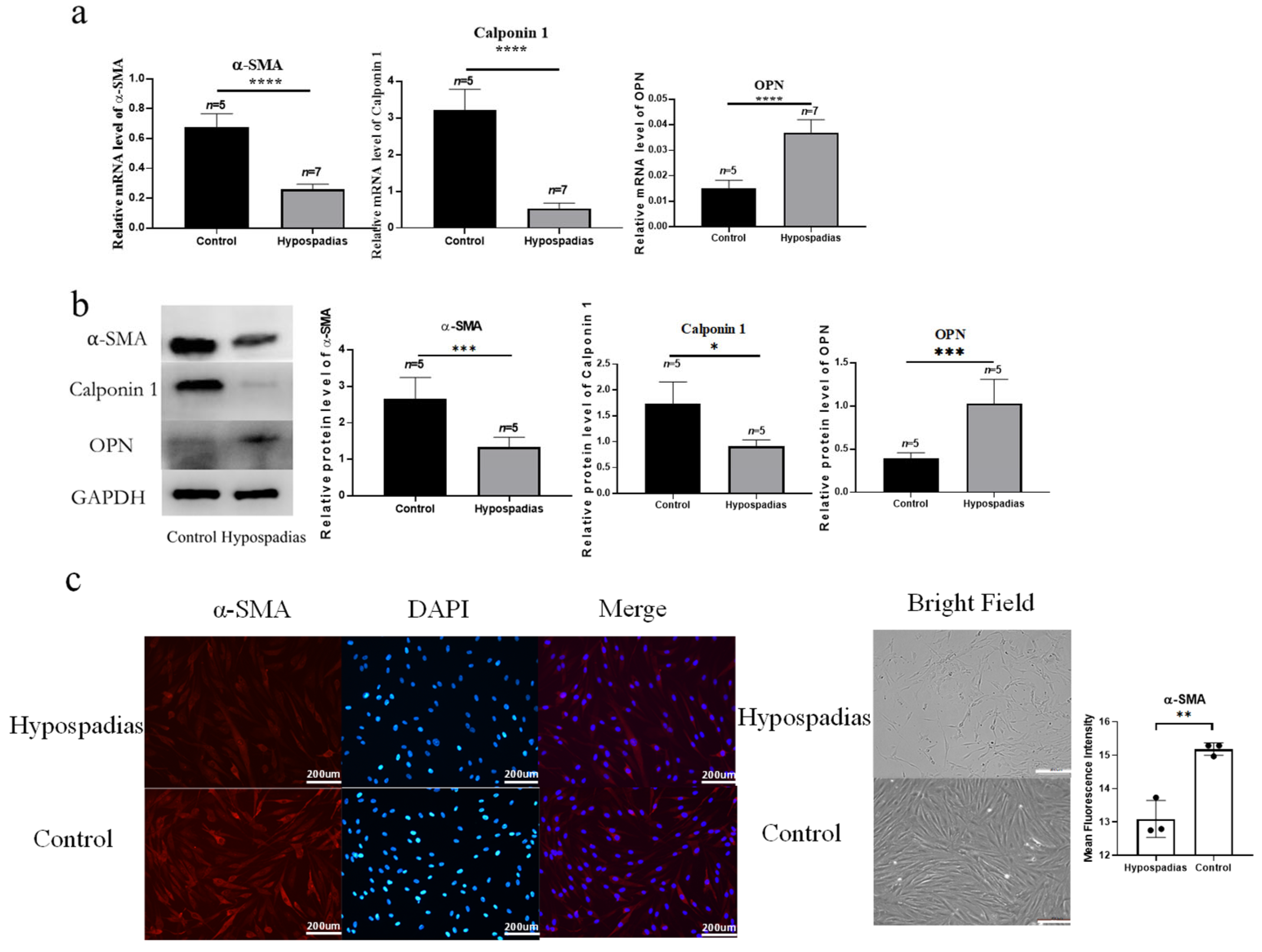 Biomedicines 14 00032 g001