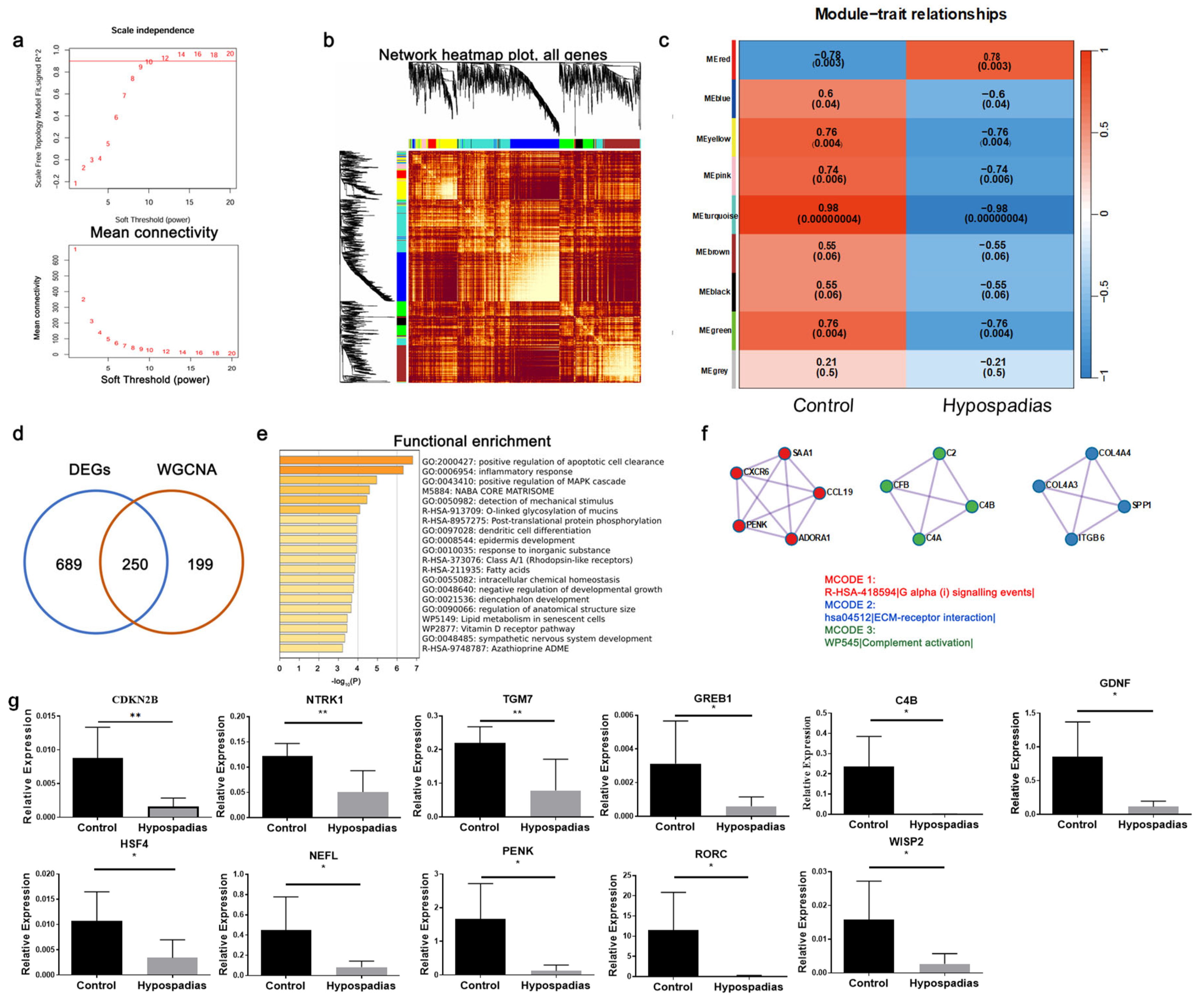 Biomedicines 14 00032 g002