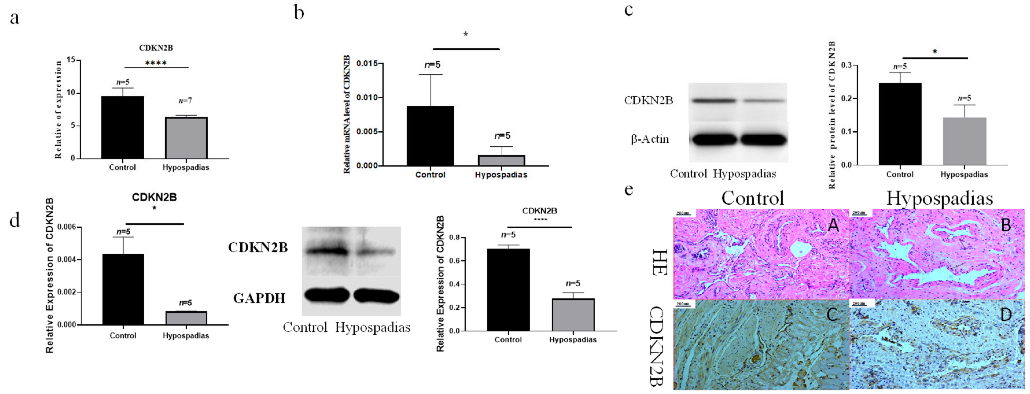 Biomedicines 14 00032 g003