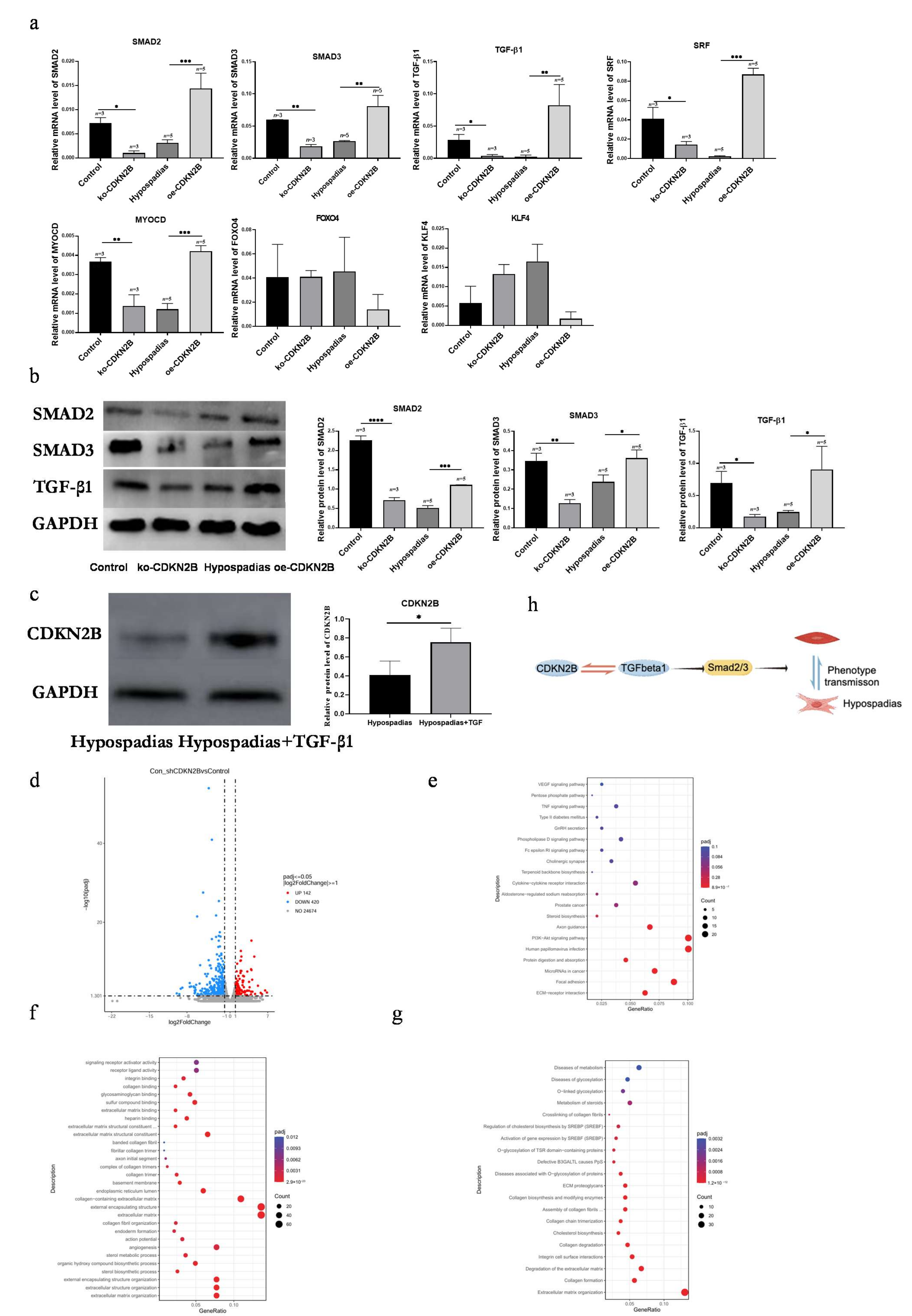 Biomedicines 14 00032 g005