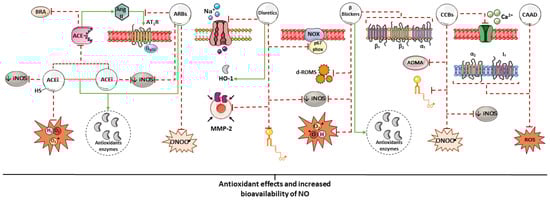 Biomedicines 14 00039 g002