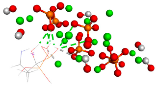 Biomedicines 14 00044 i001