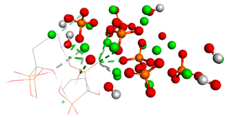 Biomedicines 14 00044 i002
