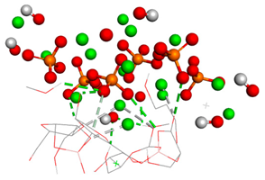Biomedicines 14 00044 i003