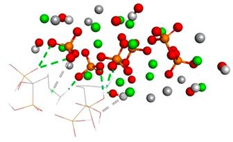 Biomedicines 14 00044 i005