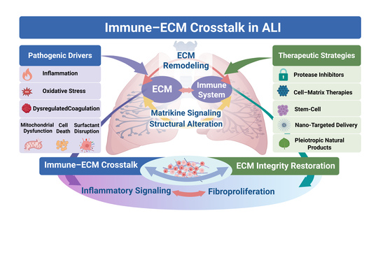 The Extracellular Matrix and the Immune System in Acute Lung Injury ...
