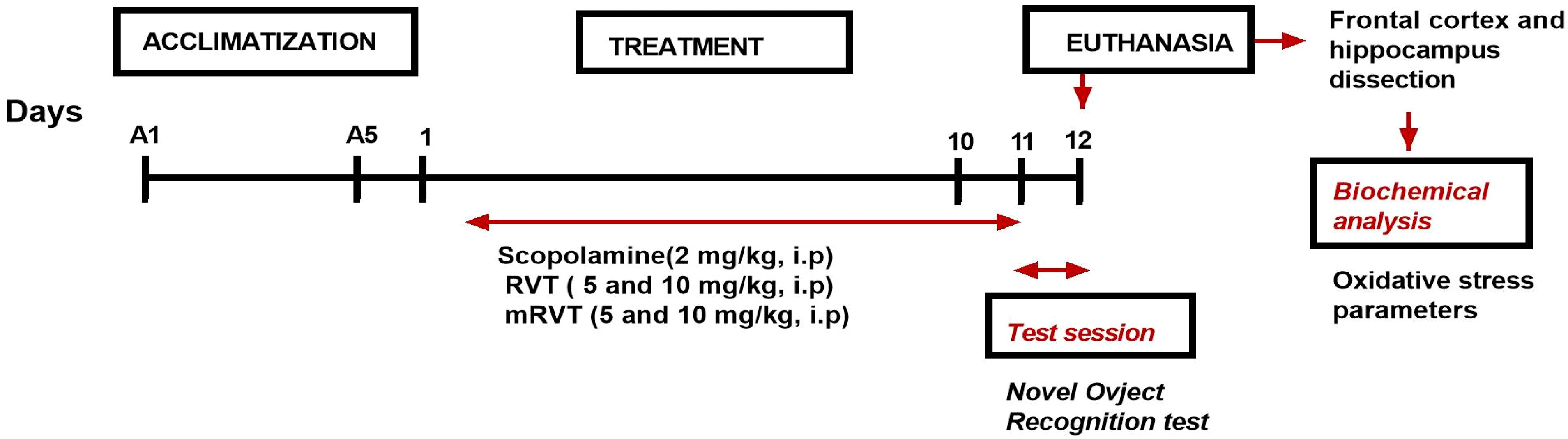 Biomedicines 14 00063 g002 Biomedicines 14 00063 g002