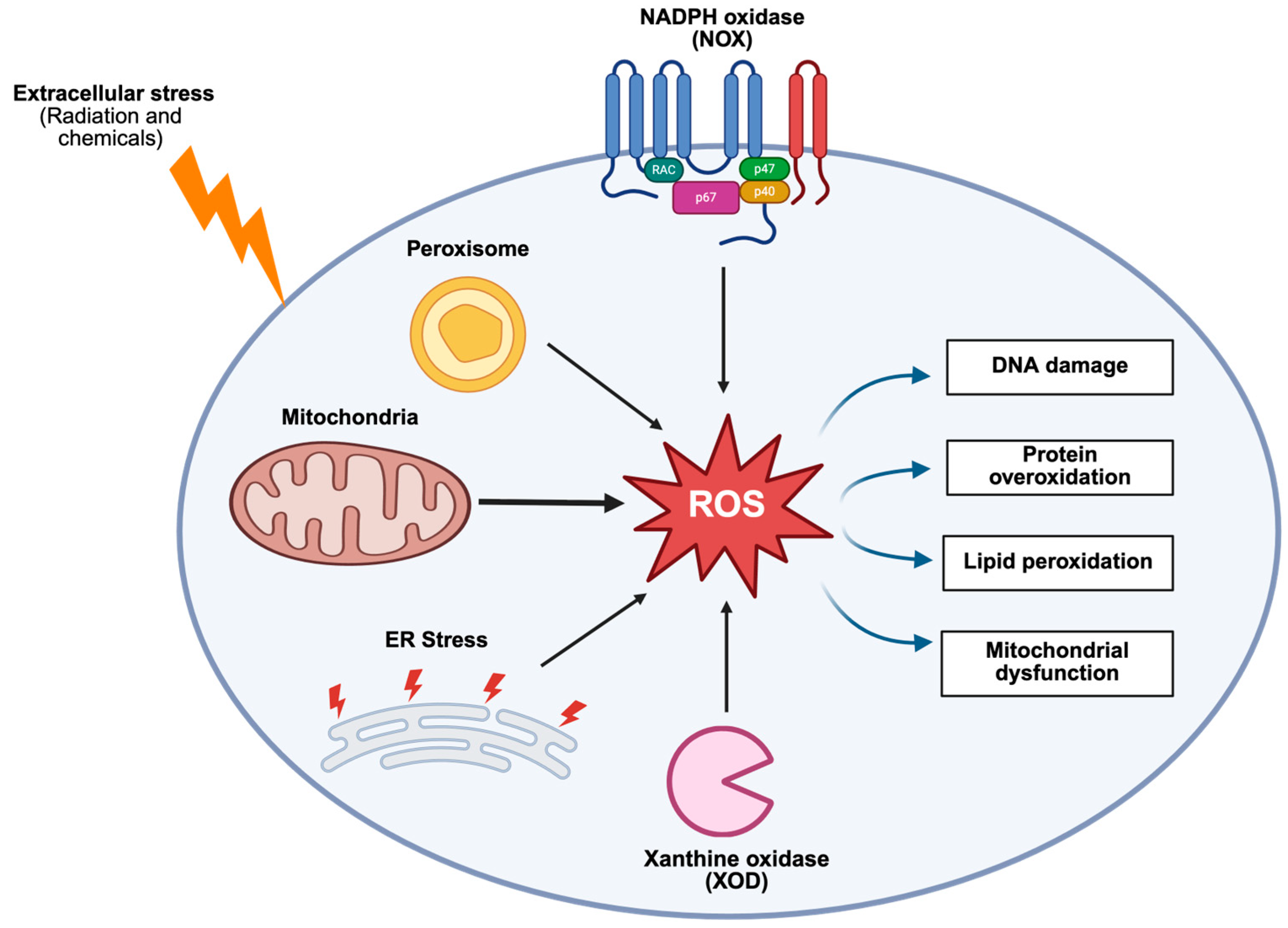 Biomedicines 14 00069 g002