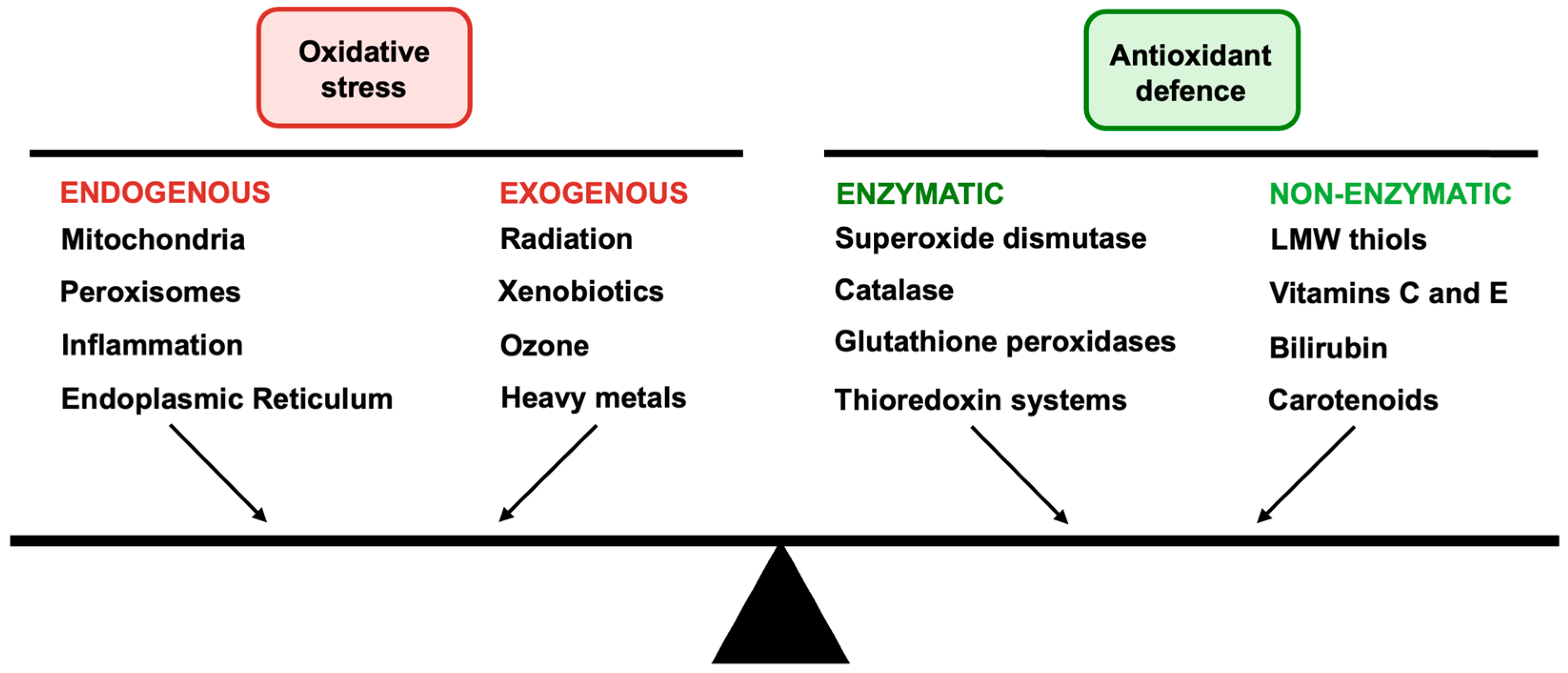 Biomedicines 14 00069 g003
