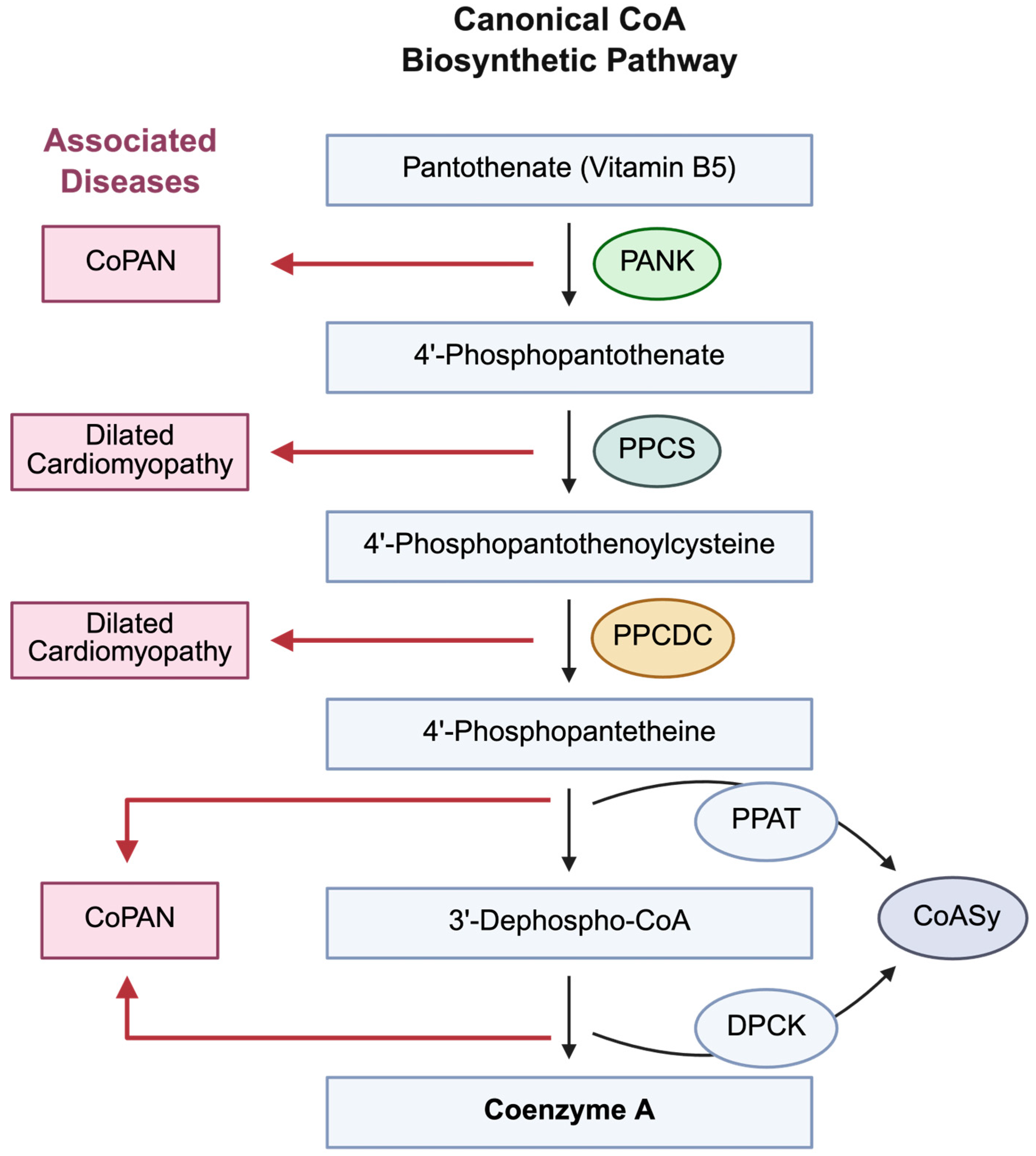 Biomedicines 14 00069 g004