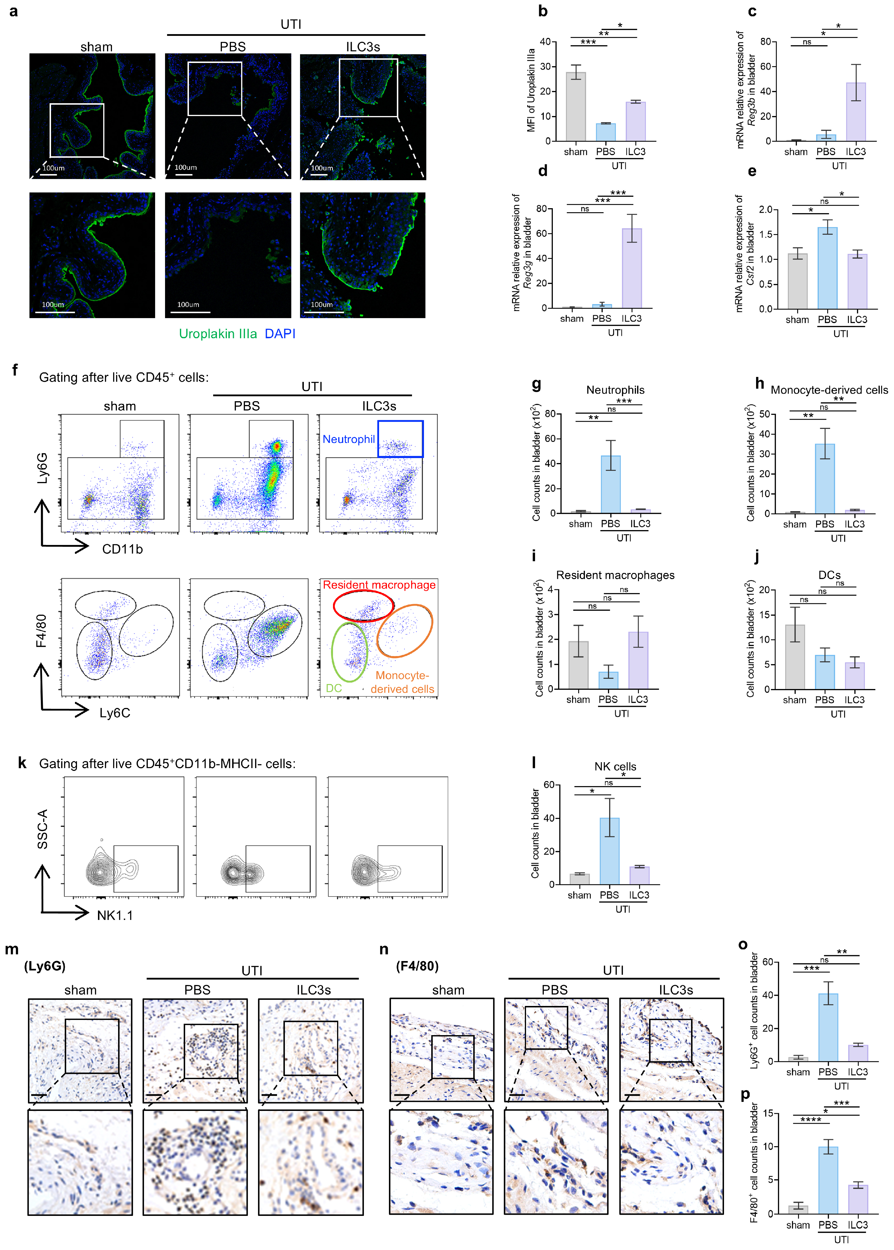 Biomedicines 14 00078 g003