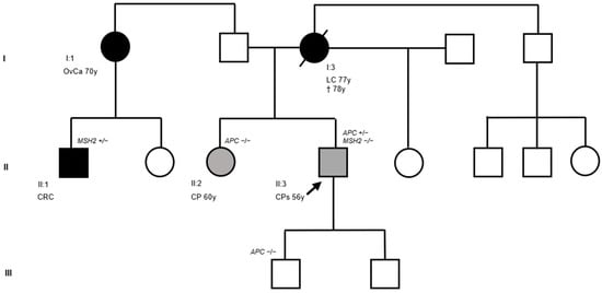 Pedigree of the family included in this study. Squares indicate men and circles women. The arrow indicates the index case. Unfilled symbols indicate unaffected individuals. Slashed symbols denote dead individuals. Black-filled symbols represent individuals with cancer. Gray-filled symbols denote individuals with colorectal polyps (CPs), and unfilled symbols denote individuals without cancer. Roman numerals (I–III) denote the generation to which each individual belongs. Arabic numerals identify individuals according to their position in the pedigree, numbered consecutively from left to right starting at 1. The following clinical manifestations are noted below each filled symbol: (CRC = colorectal cancer; LC = lung cancer; OvCa = ovarian cancer; CP = colon polyp; CPs = colon polyps), age at diagnosis (y = years), and age of death (†). The presence and the absence of heterozygous pathogenic variants (PVs) are also shown (APC +/− = presence of heterozygous PV; MSH2 +/− = presence of heterozygous PV; APC −/− = absence of heterozygous PV).