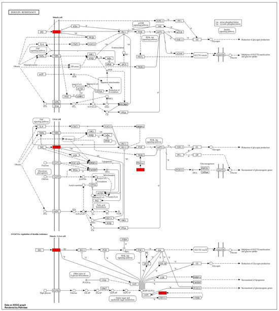 Biomedicines 14 00120 g0a2