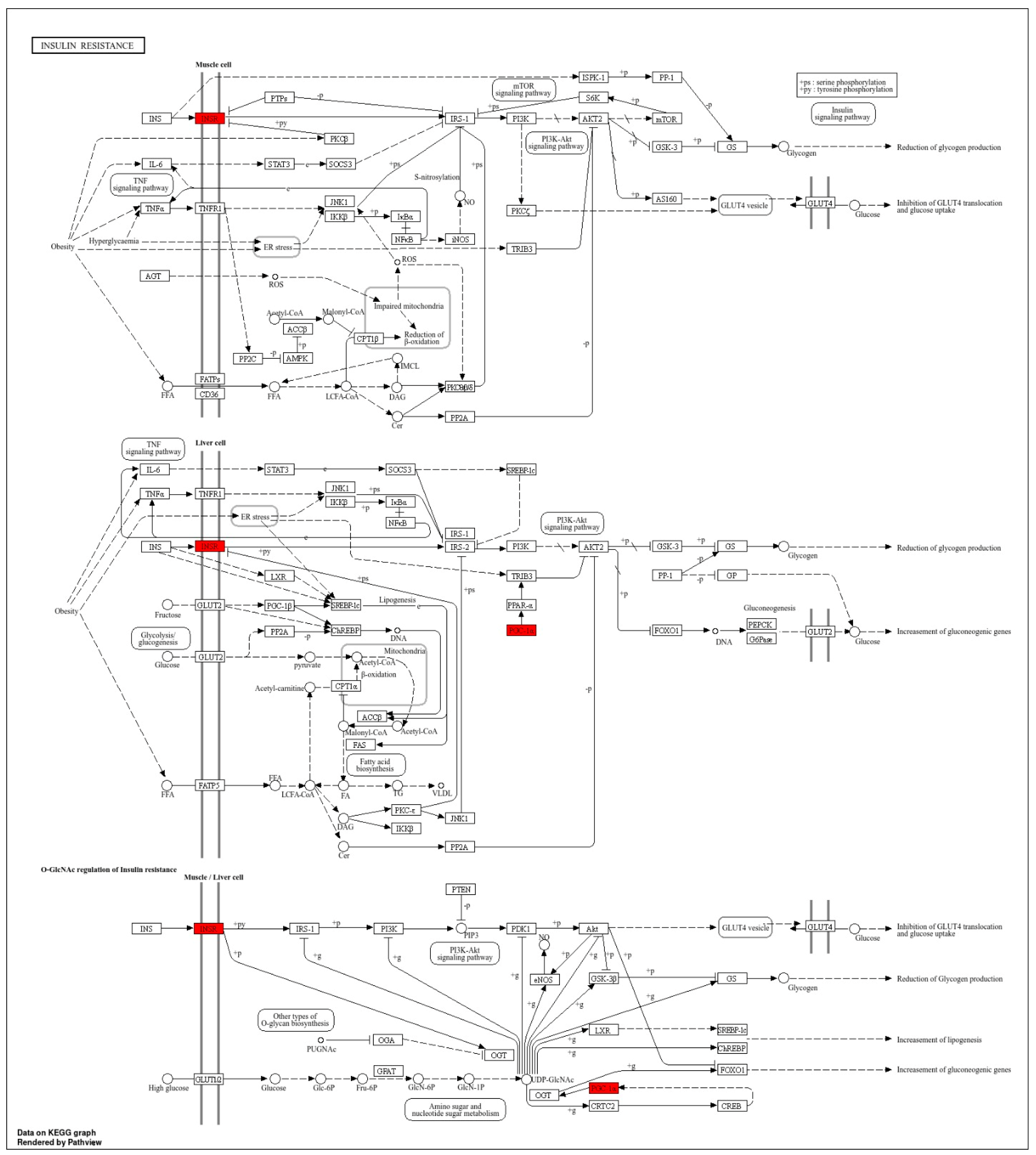 Biomedicines 14 00120 g0a2 Biomedicines 14 00120 g0a2