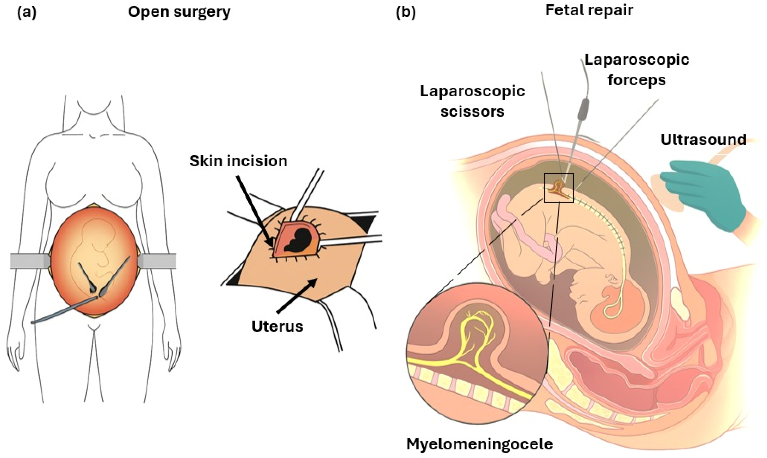 Biomedicines 14 00136 g004