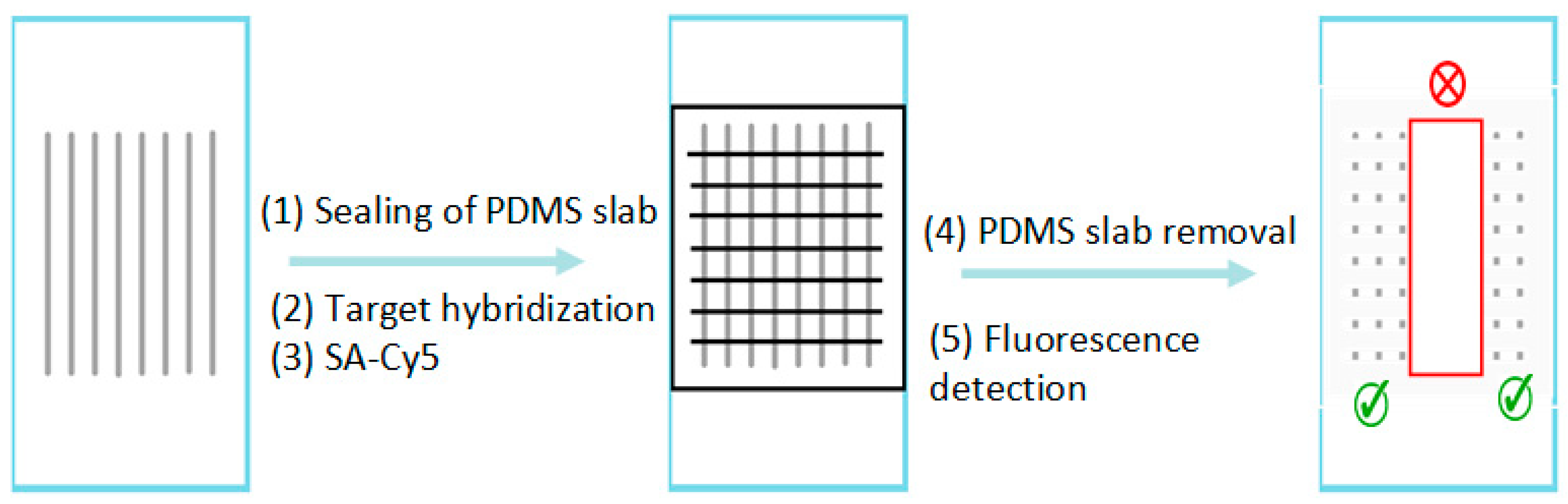 Biomedicines 14 00142 g001 Biomedicines 14 00142 g001