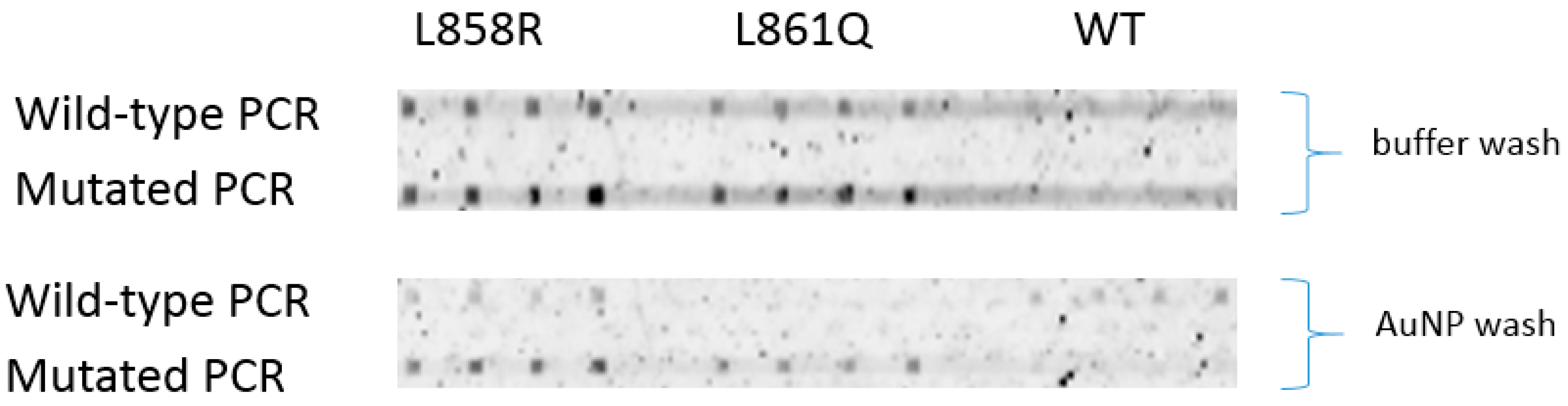 Biomedicines 14 00142 g007 Biomedicines 14 00142 g007
