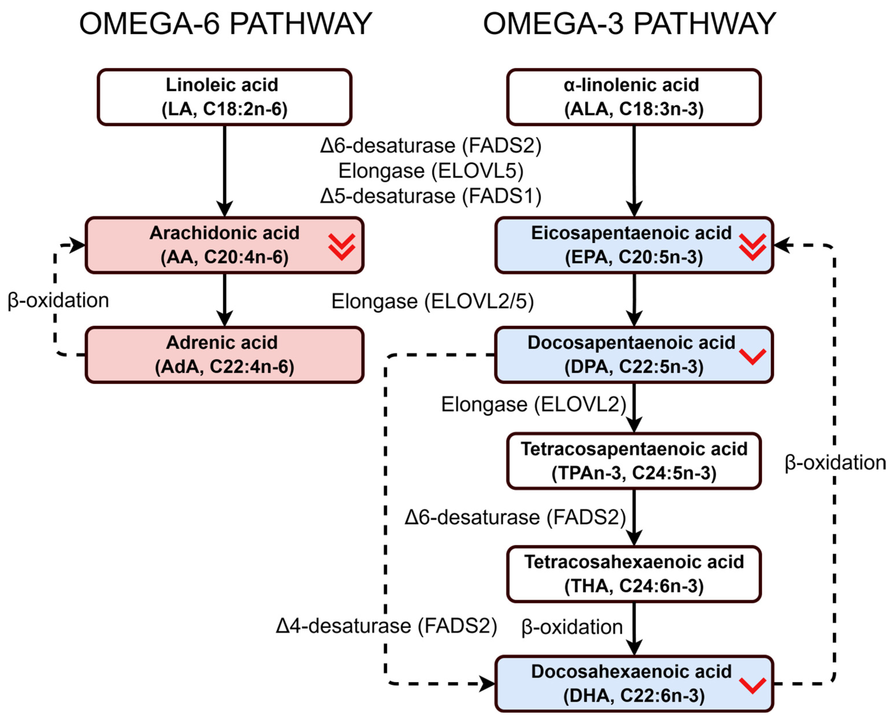 Biomedicines 14 00149 g003