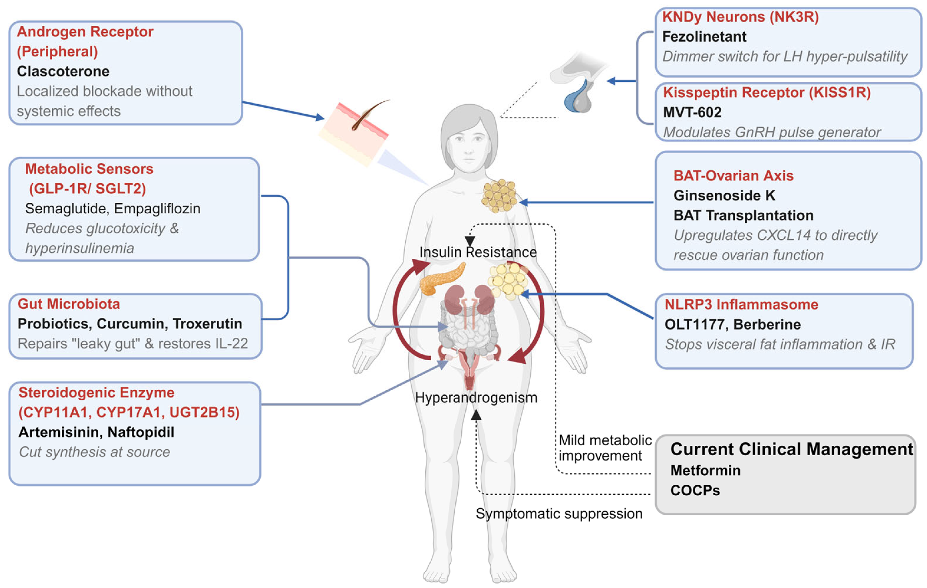 Biomedicines 14 00213 g001
