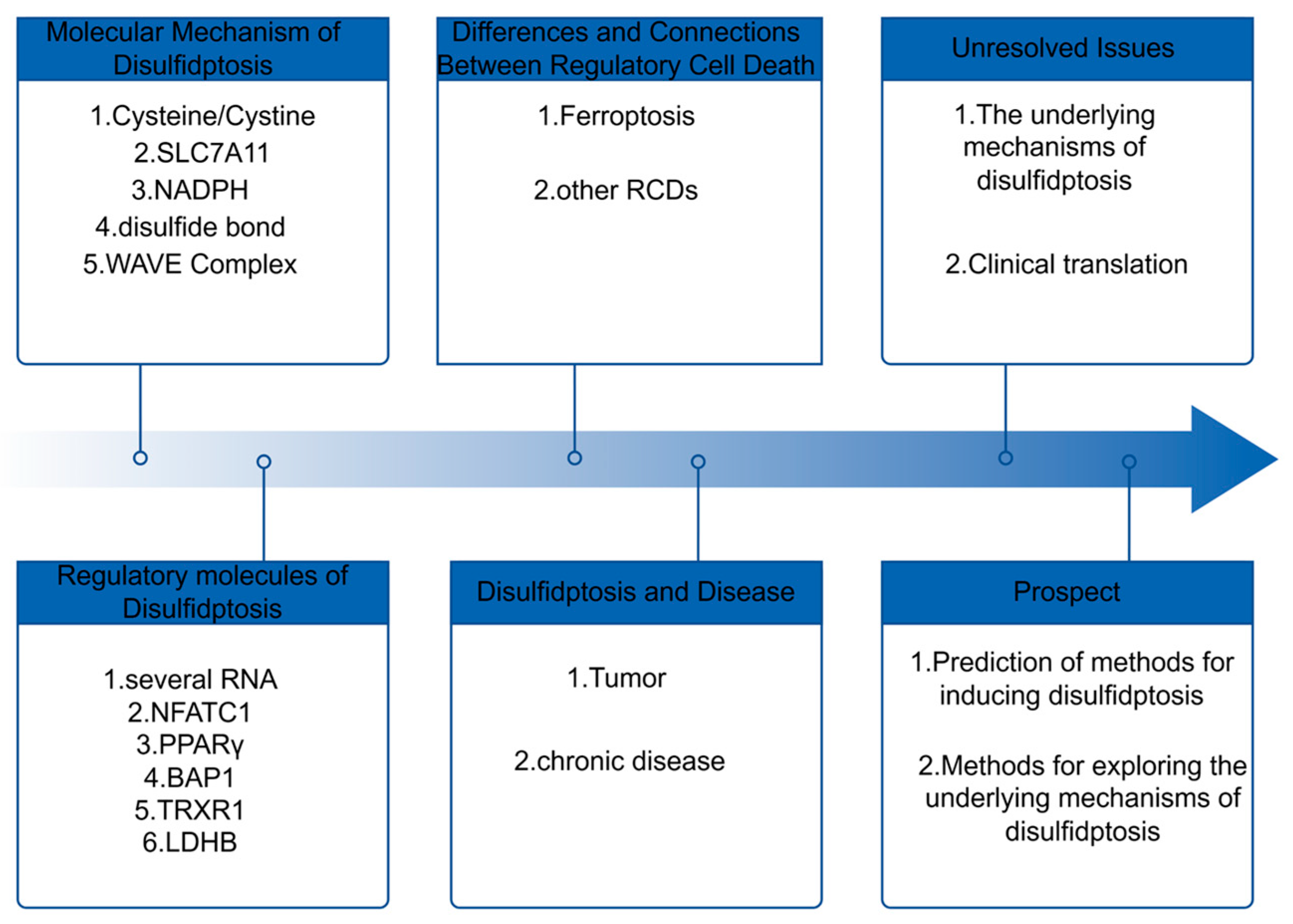 Biomedicines 14 00228 g001