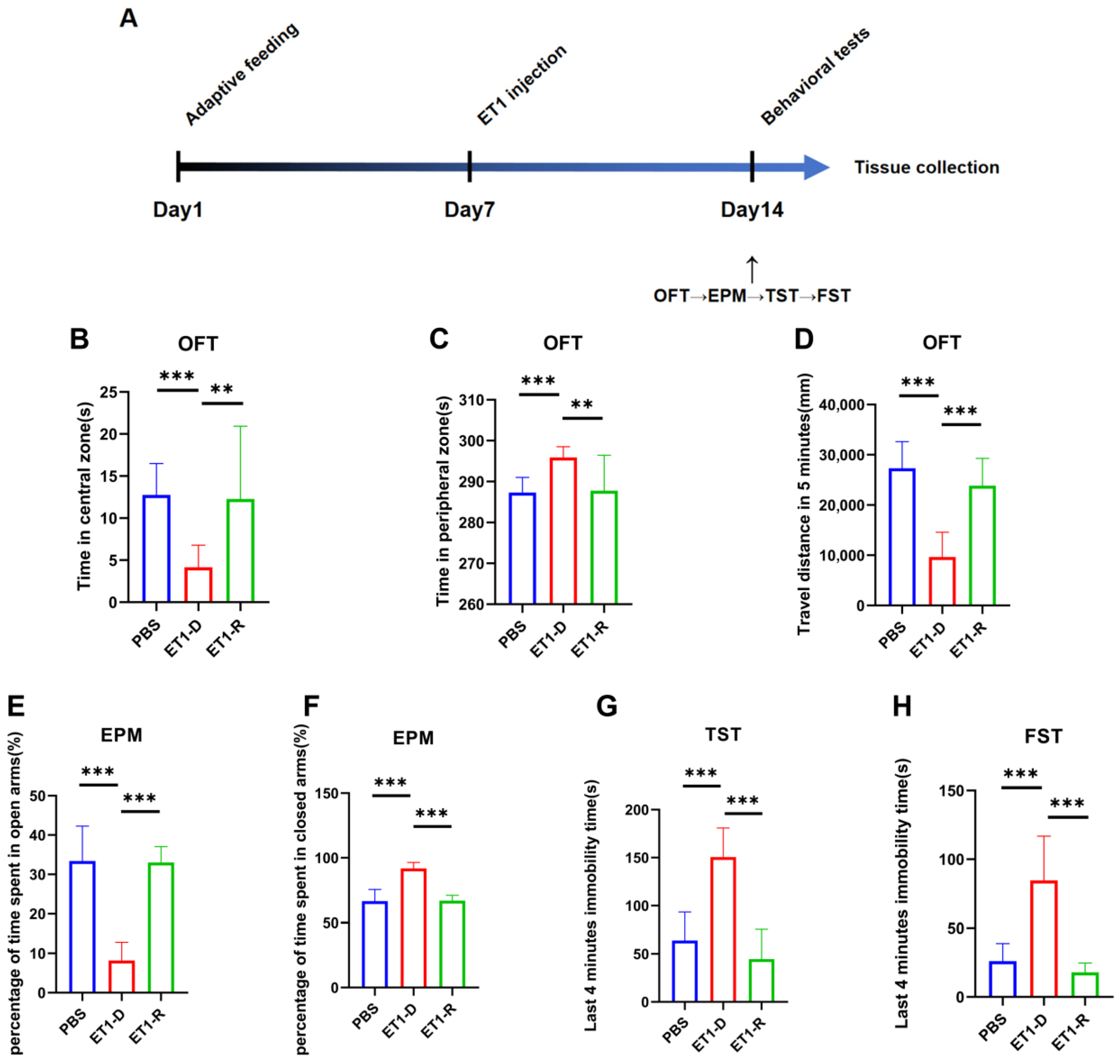 Biomedicines 14 00297 g001 Biomedicines 14 00297 g001