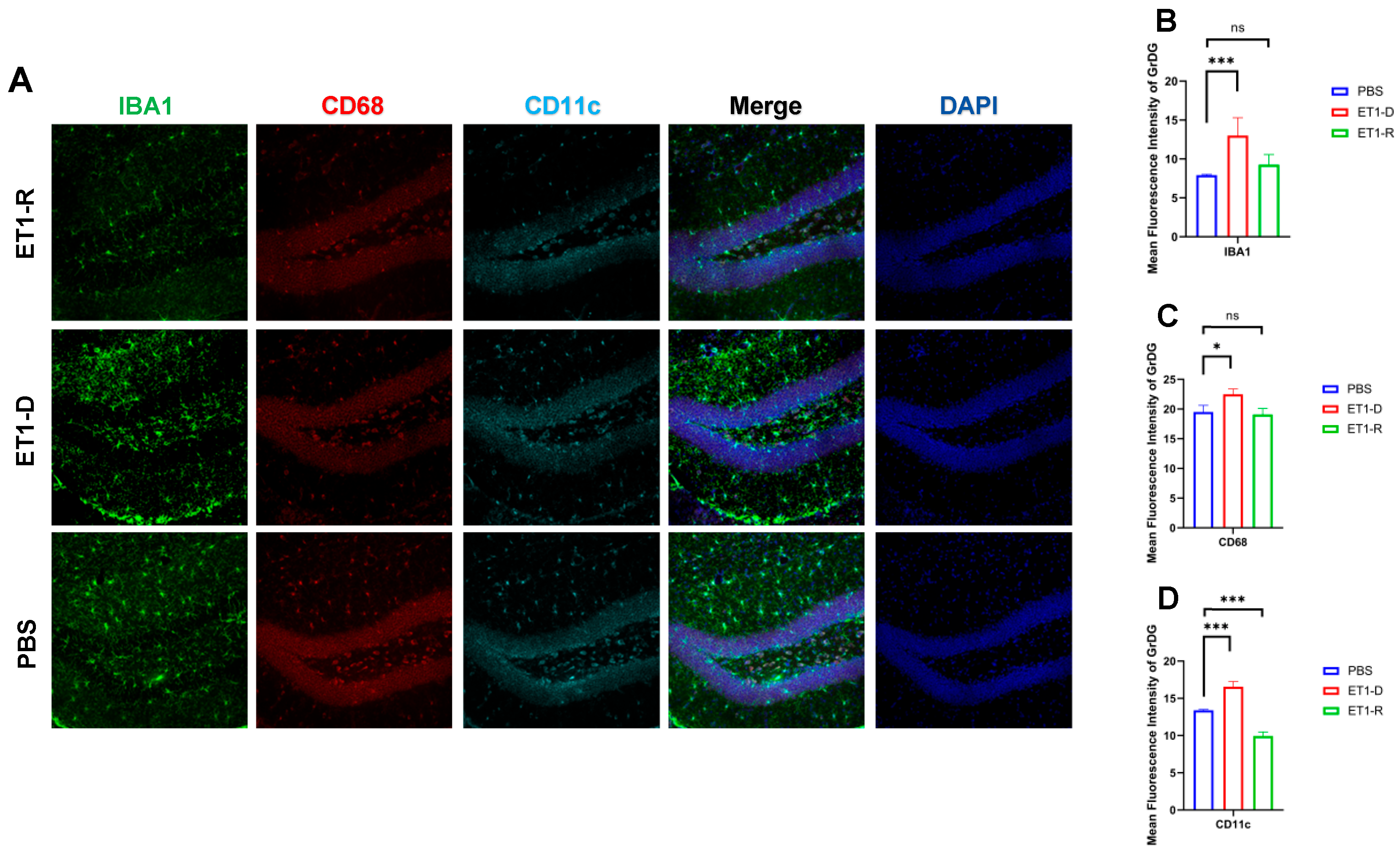 Biomedicines 14 00297 g002 Biomedicines 14 00297 g002