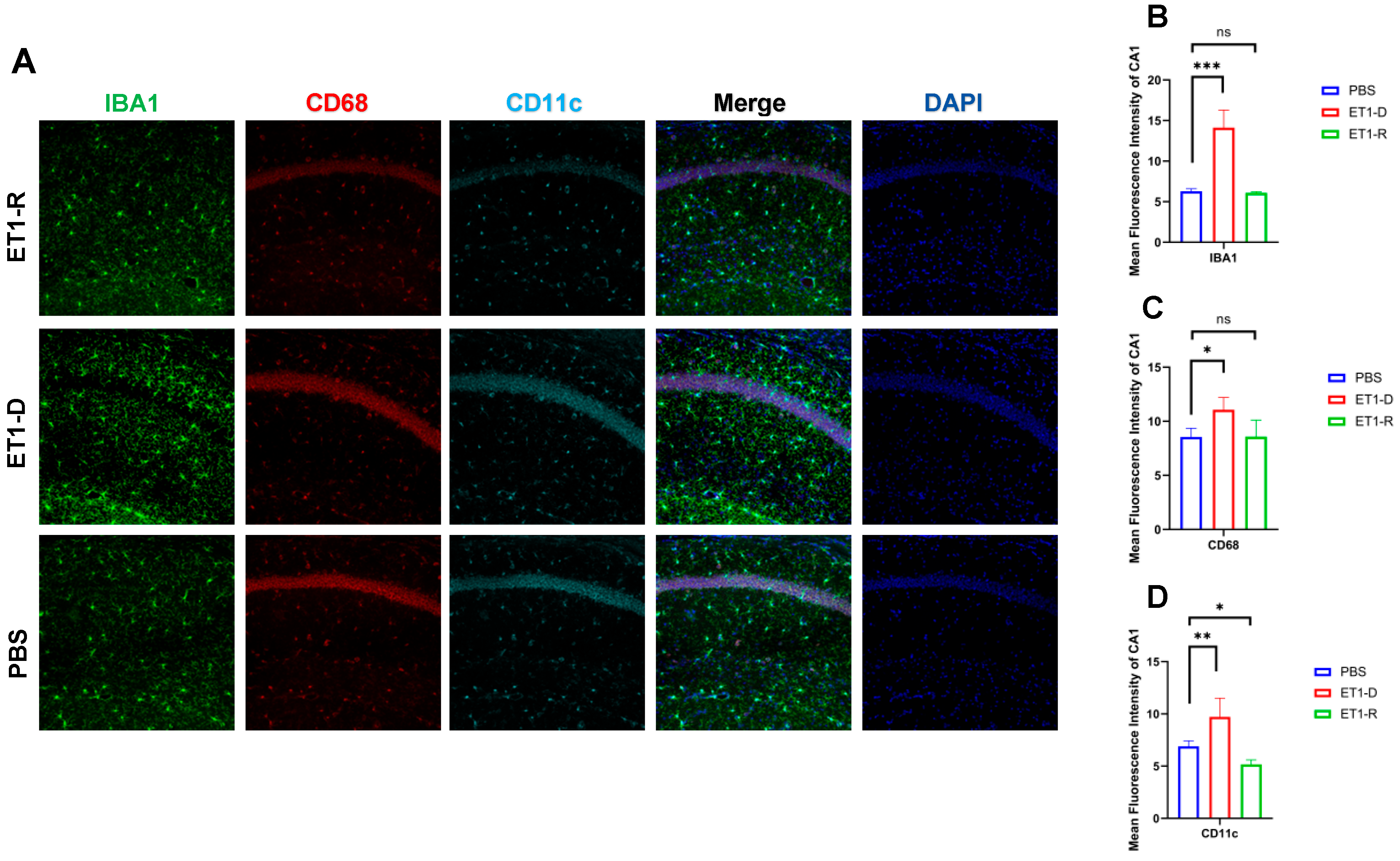 Biomedicines 14 00297 g004 Biomedicines 14 00297 g004