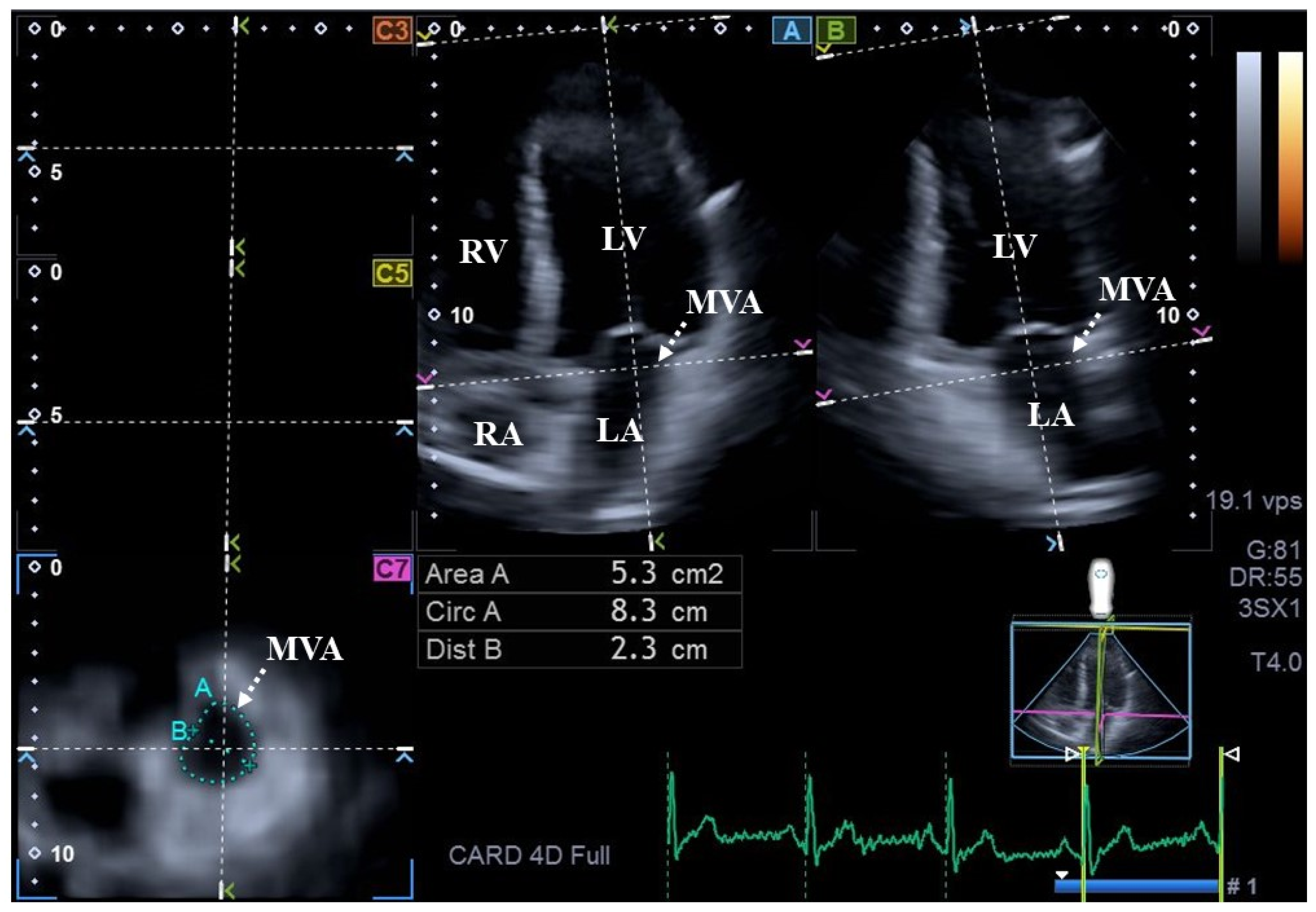 Biomedicines 14 00304 g001