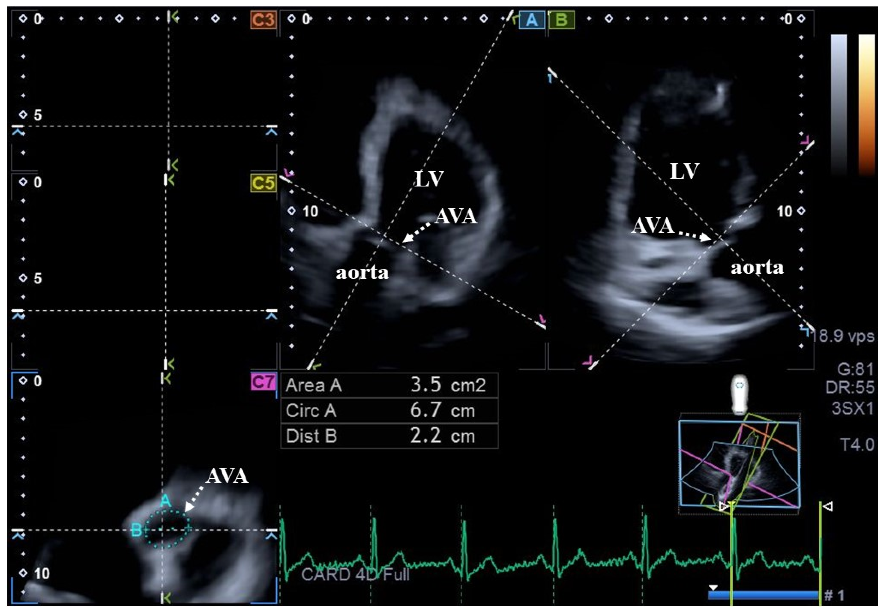 Biomedicines 14 00304 g002