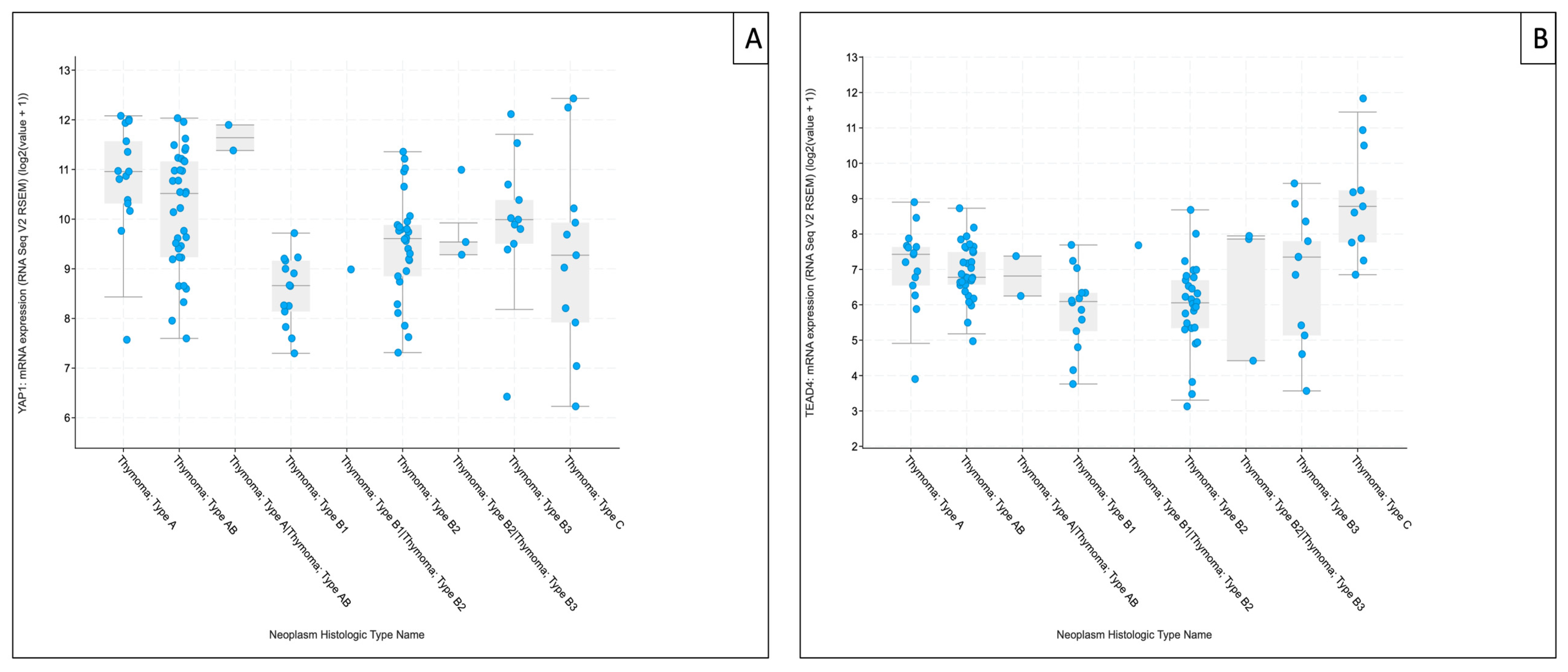 Biomedicines 14 00305 g008