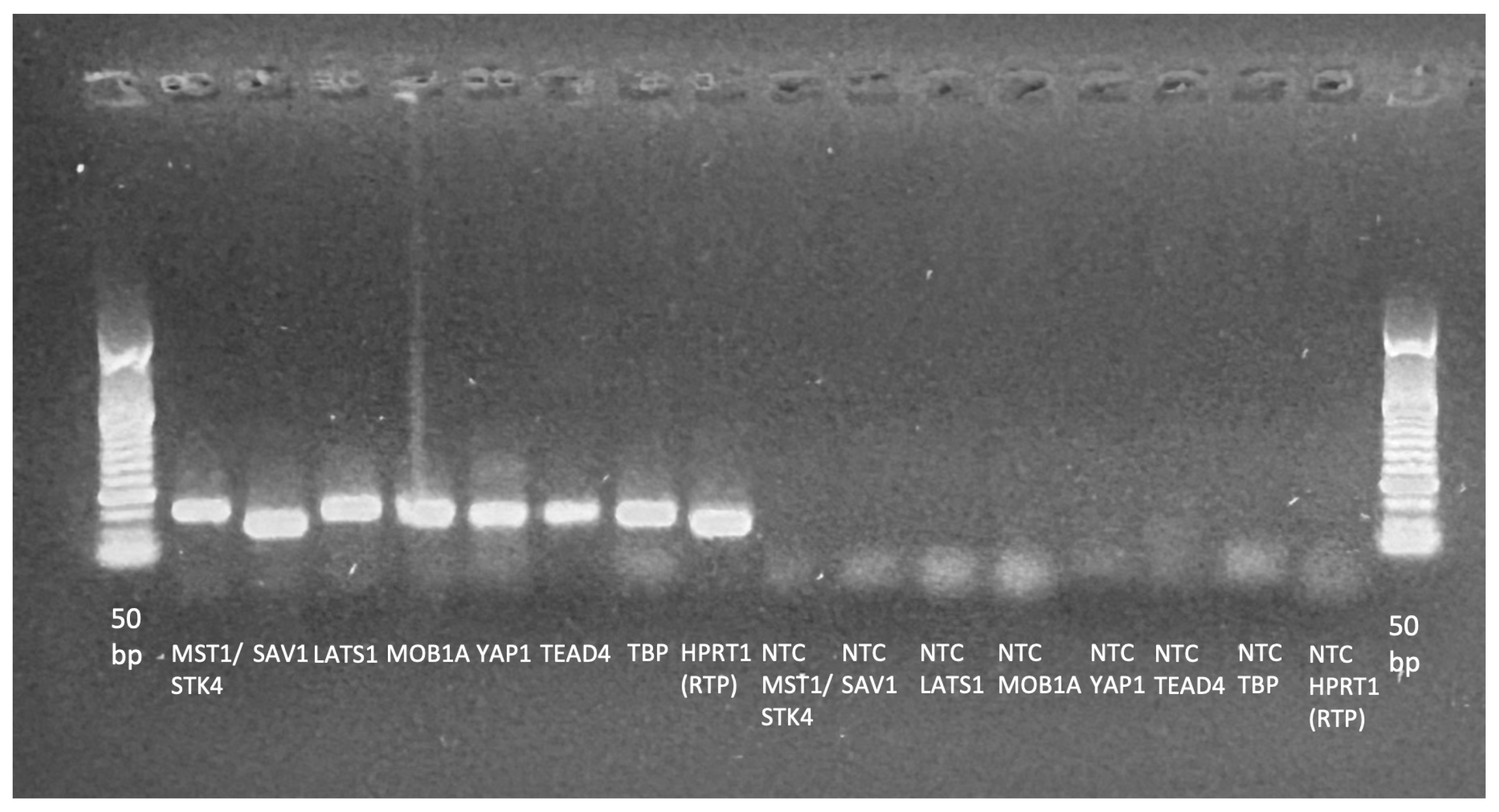 Biomedicines 14 00305 g0a2
