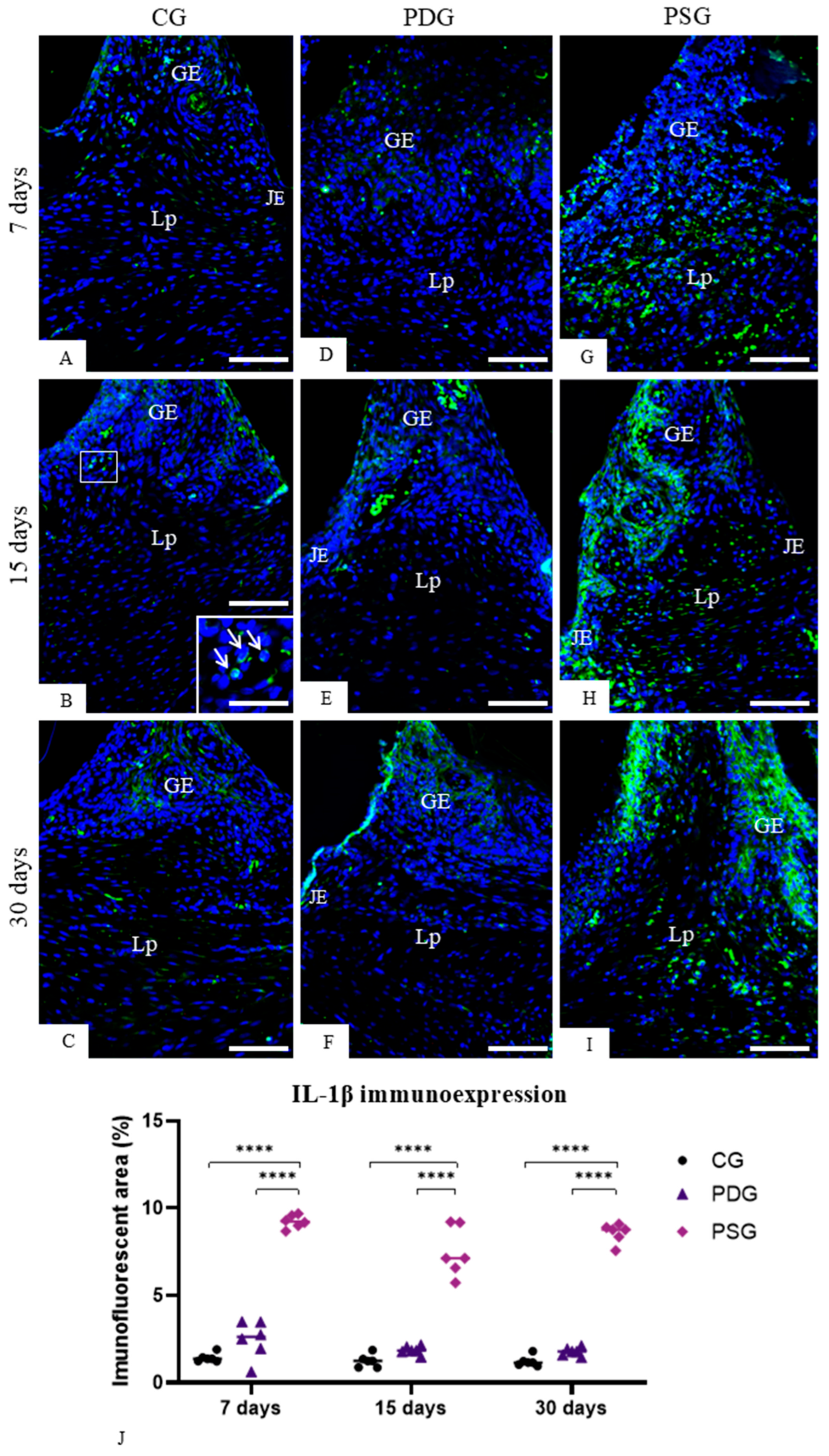 Biomedicines 14 00306 g003 Biomedicines 14 00306 g003