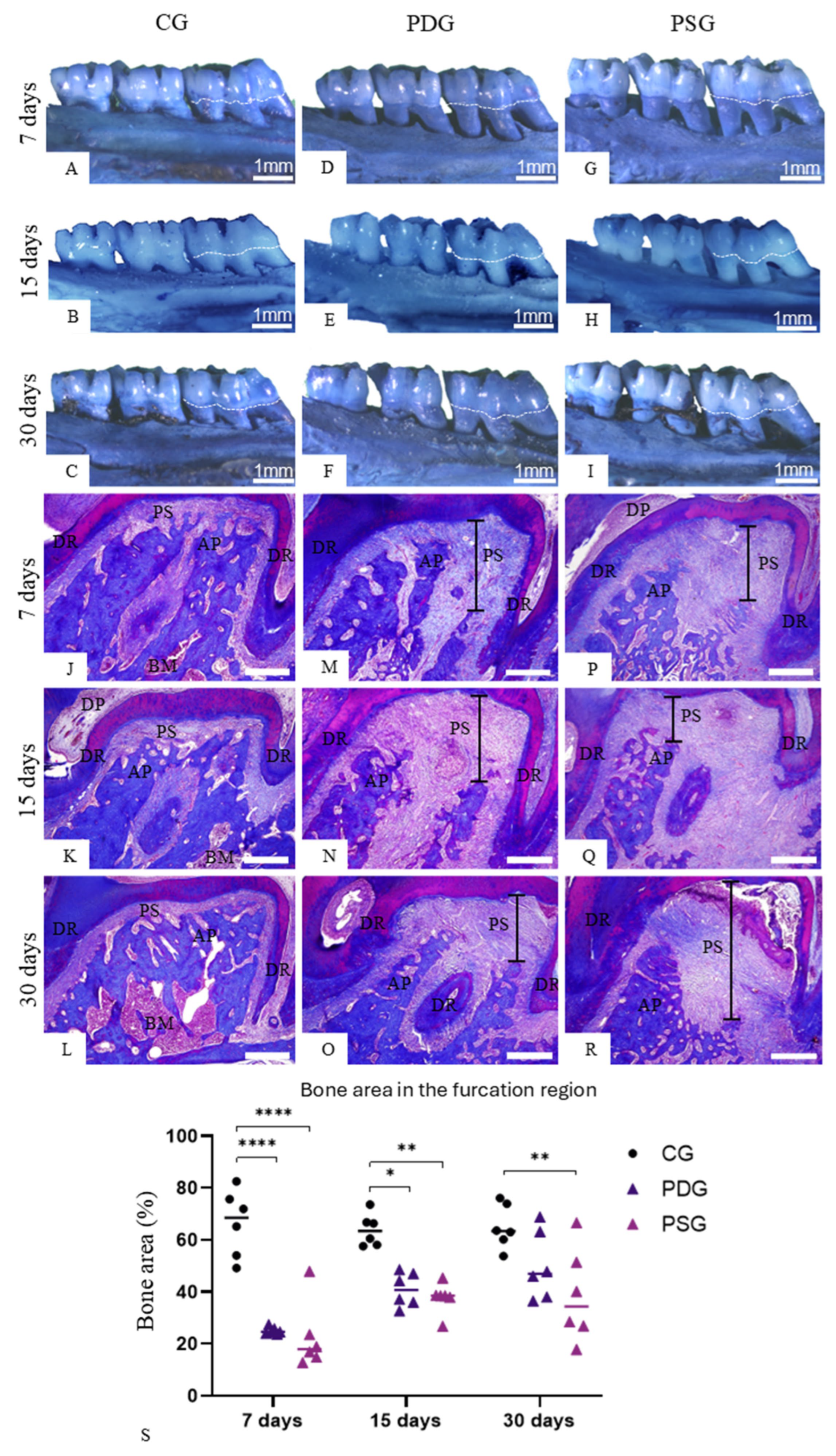 Biomedicines 14 00306 g004 Biomedicines 14 00306 g004