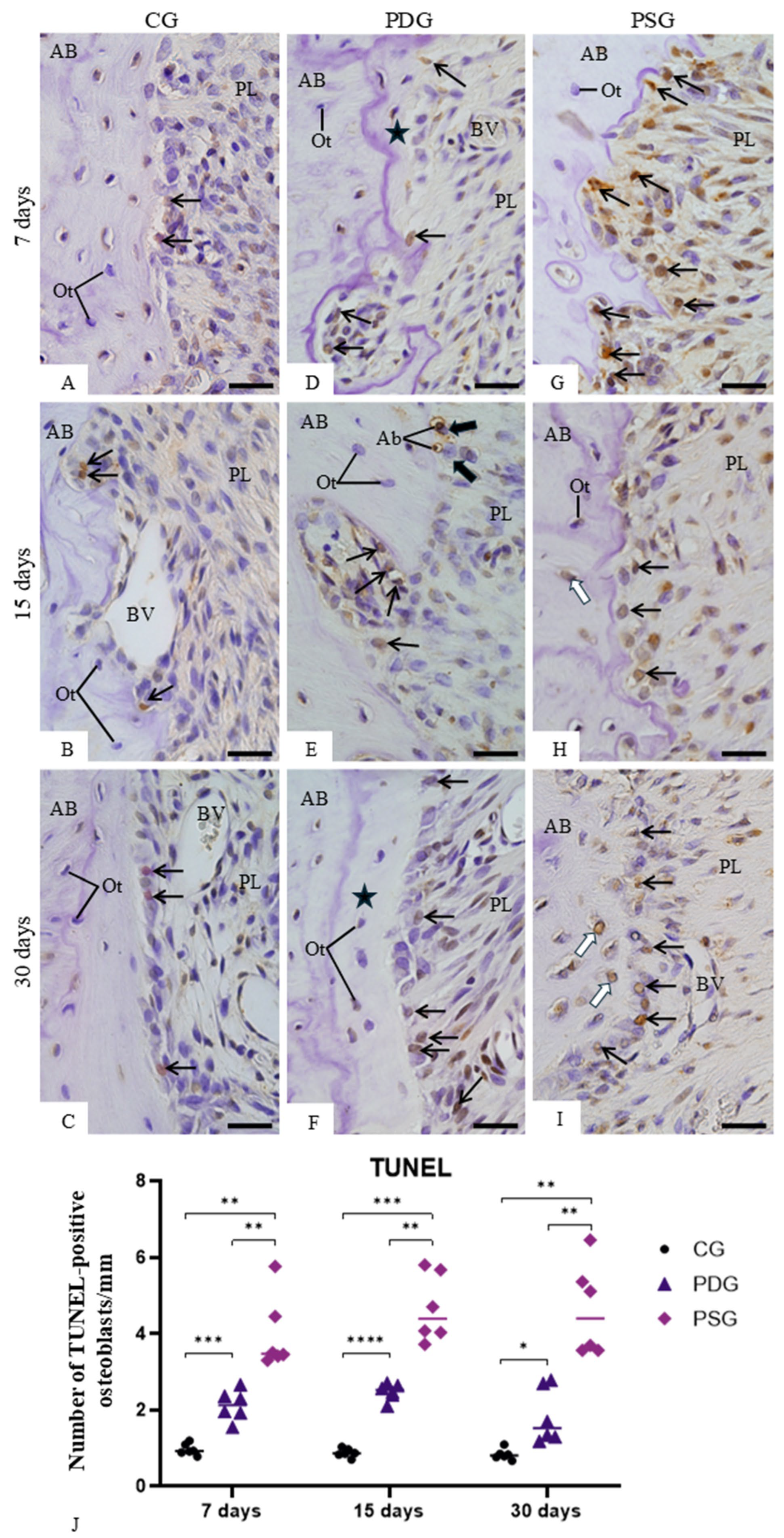 Biomedicines 14 00306 g007 Biomedicines 14 00306 g007