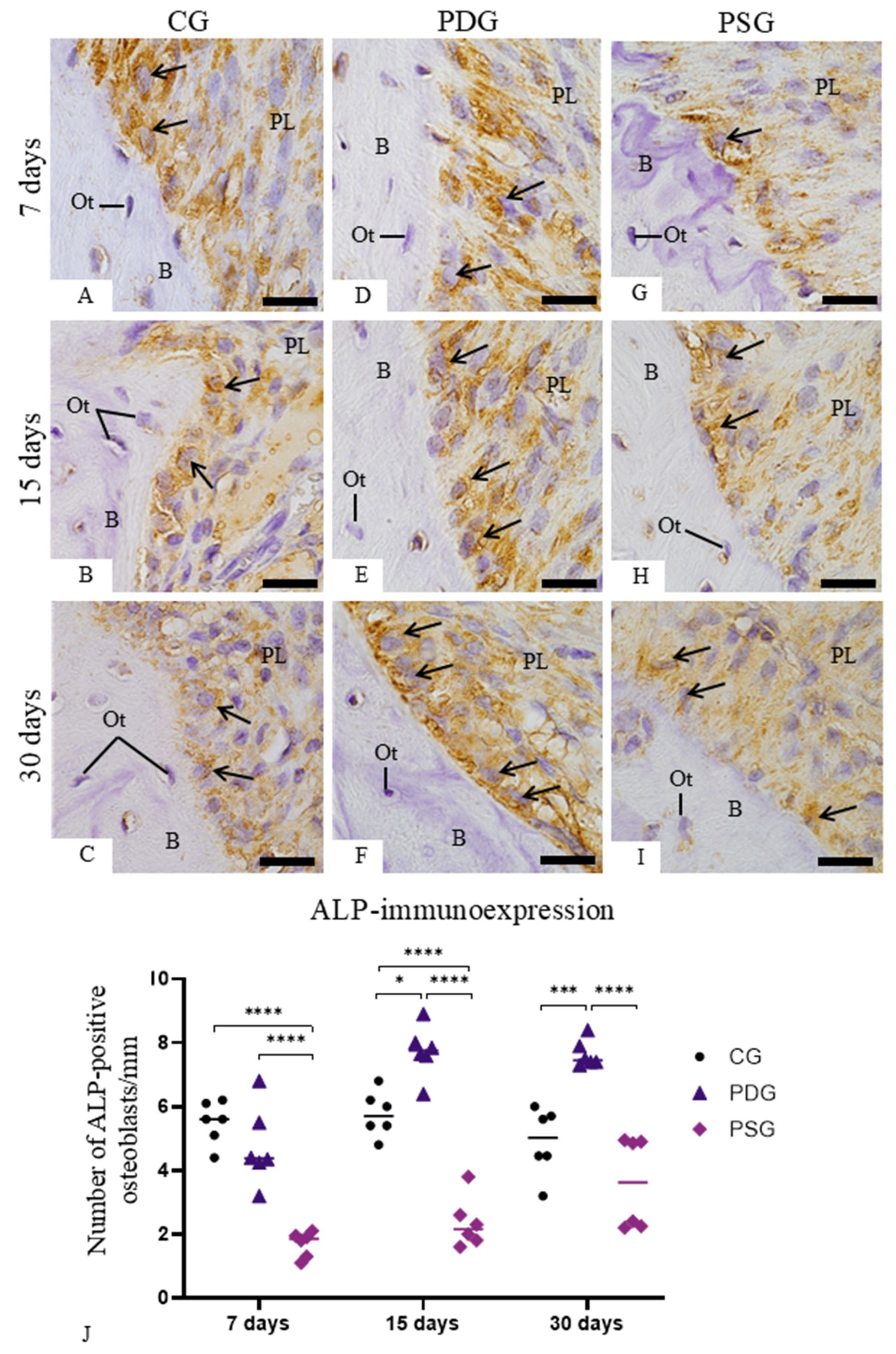 Biomedicines 14 00306 g008 Biomedicines 14 00306 g008