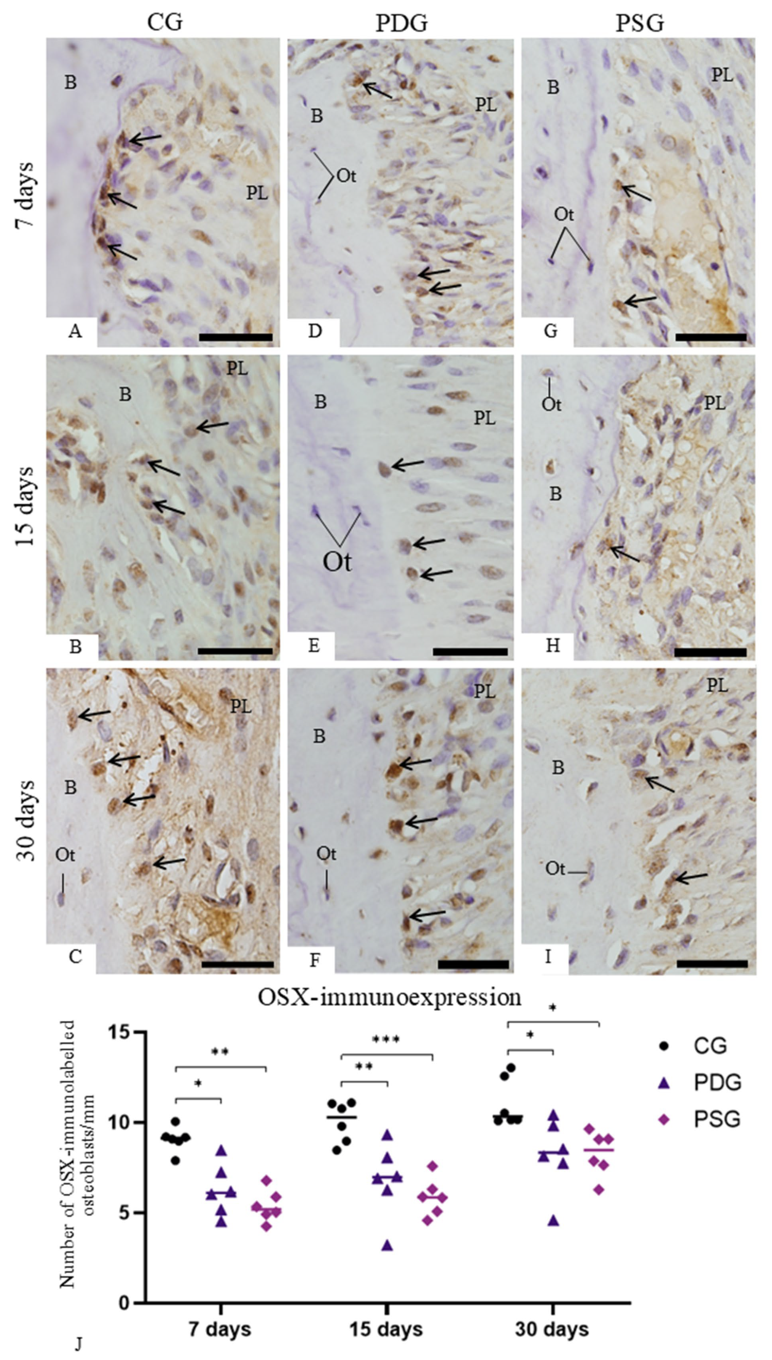 Biomedicines 14 00306 g009 Biomedicines 14 00306 g009
