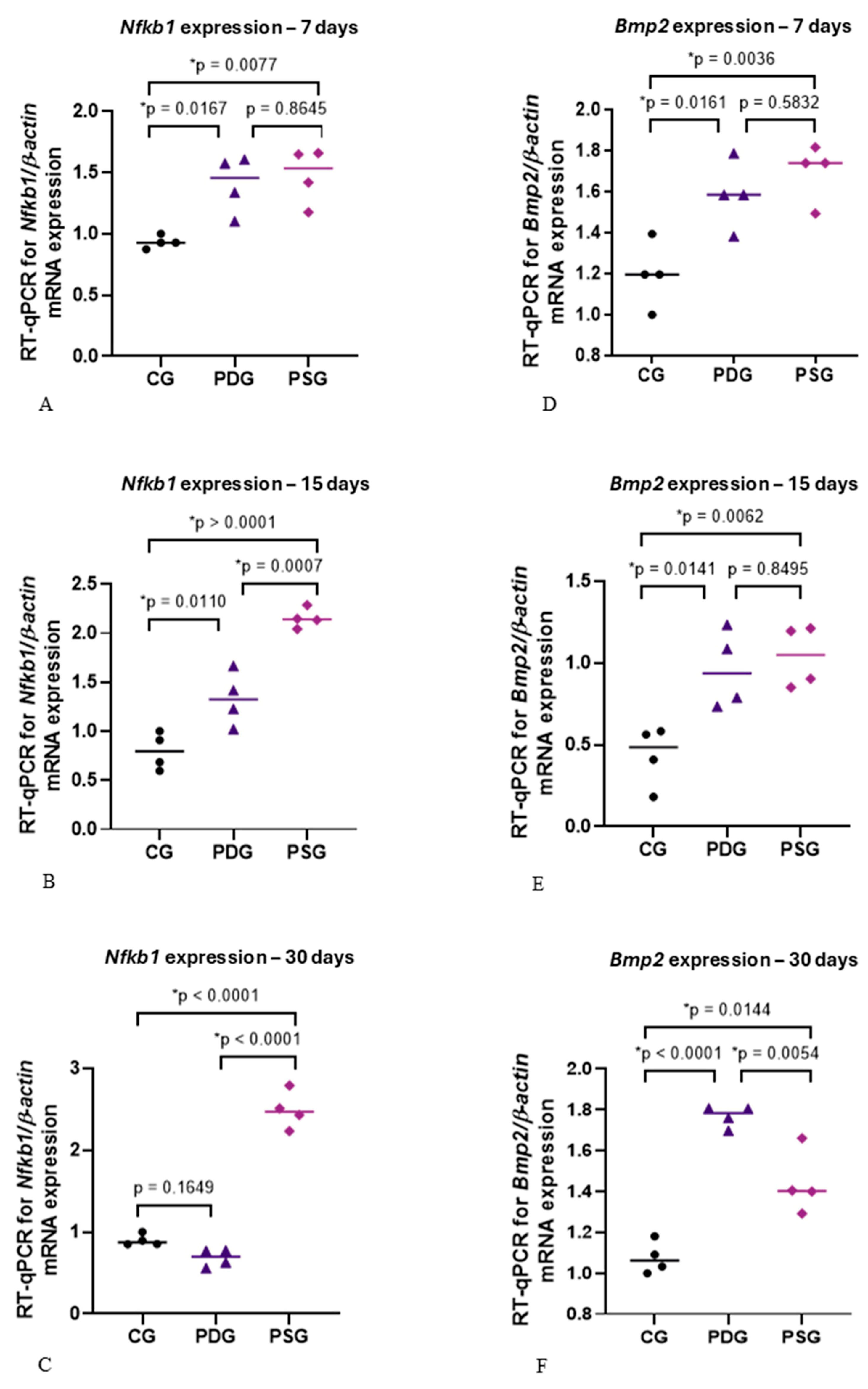Biomedicines 14 00306 g011 Biomedicines 14 00306 g011