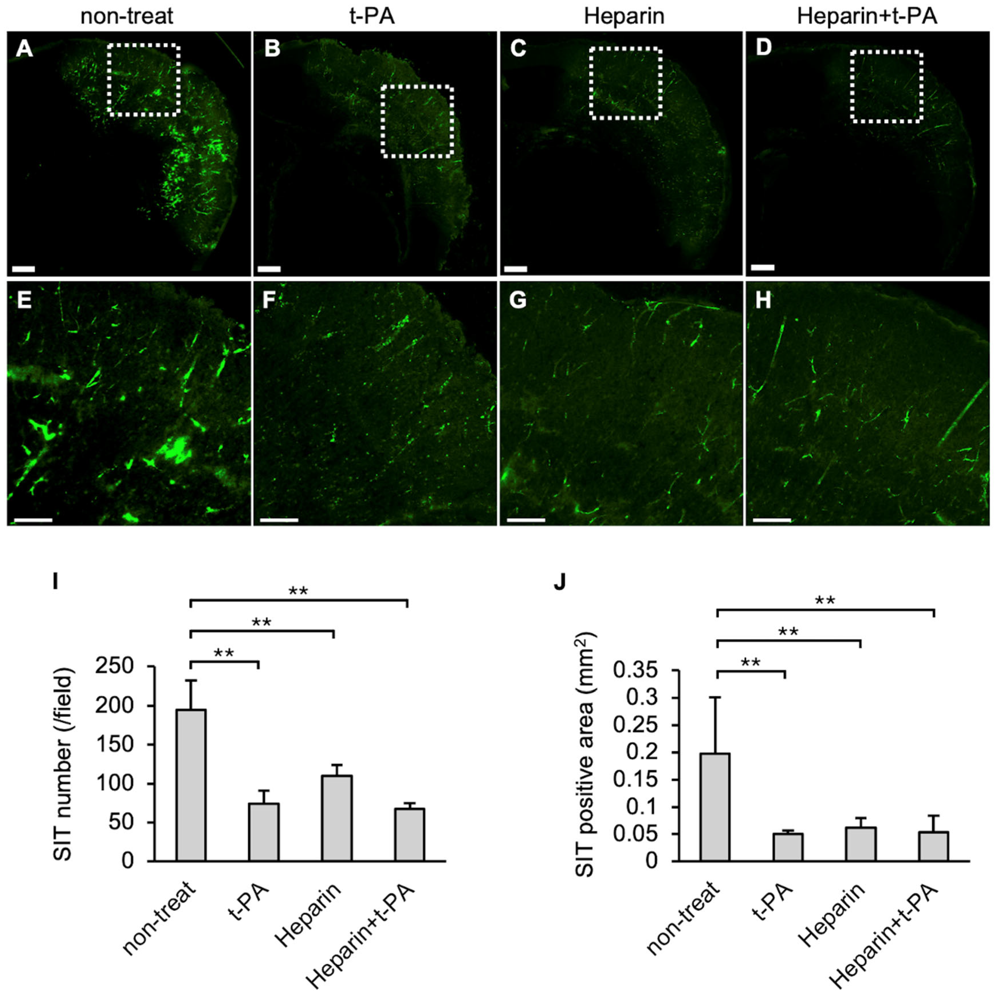 Biomedicines 14 00308 g003