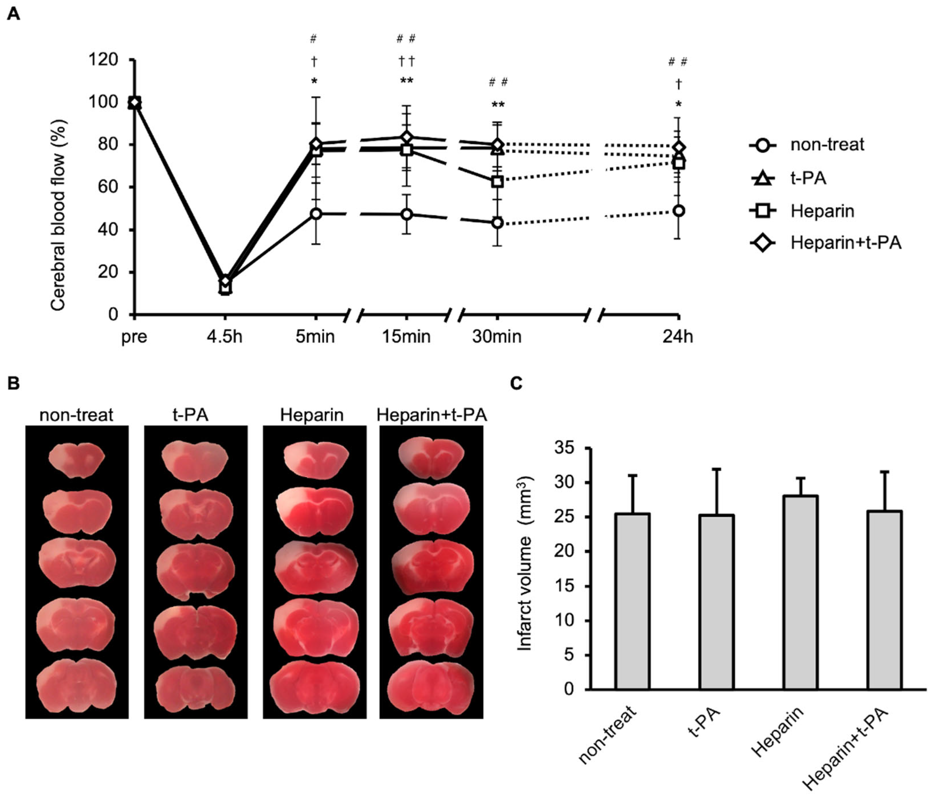 Biomedicines 14 00308 g004