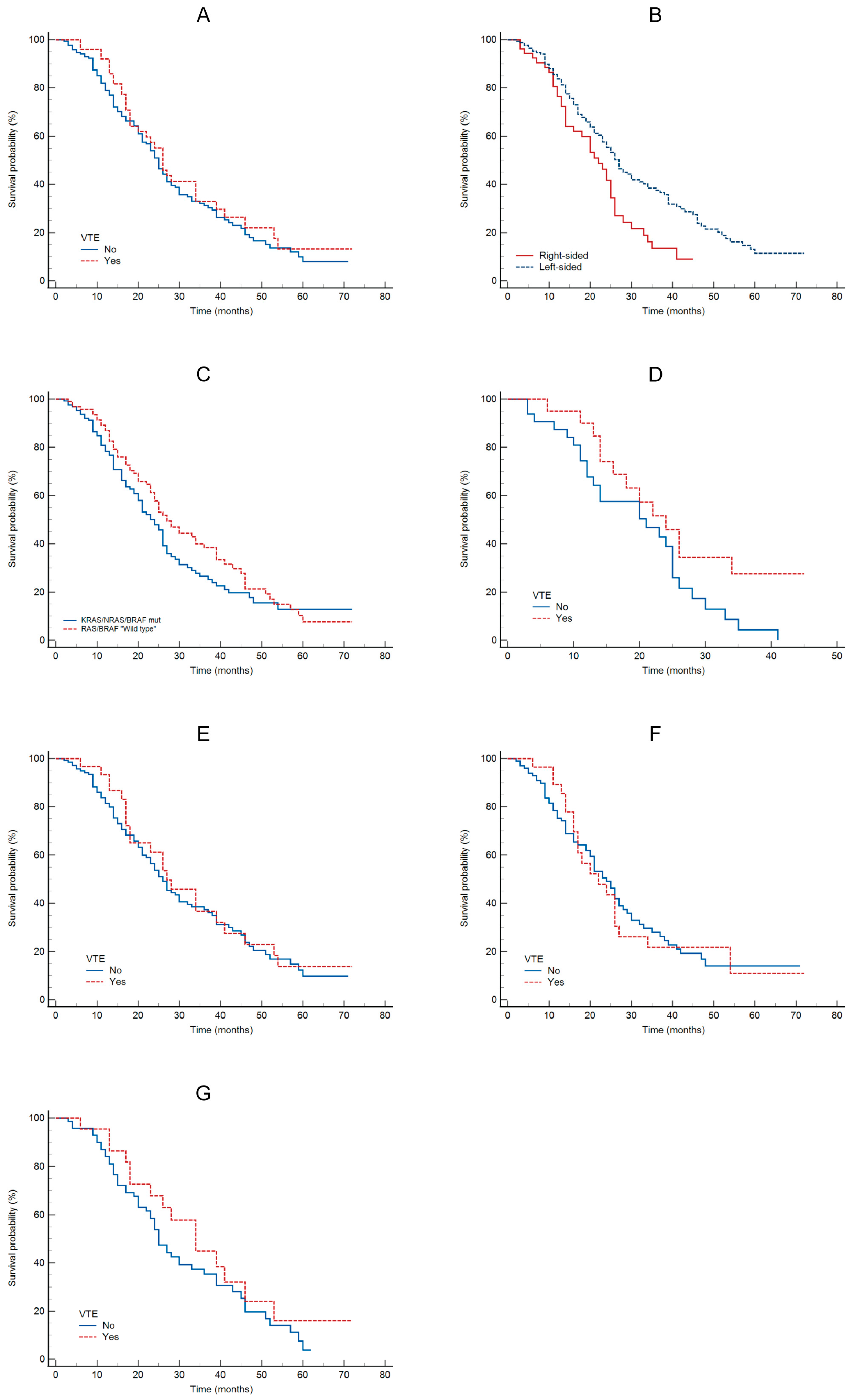 Biomedicines 14 00312 g001