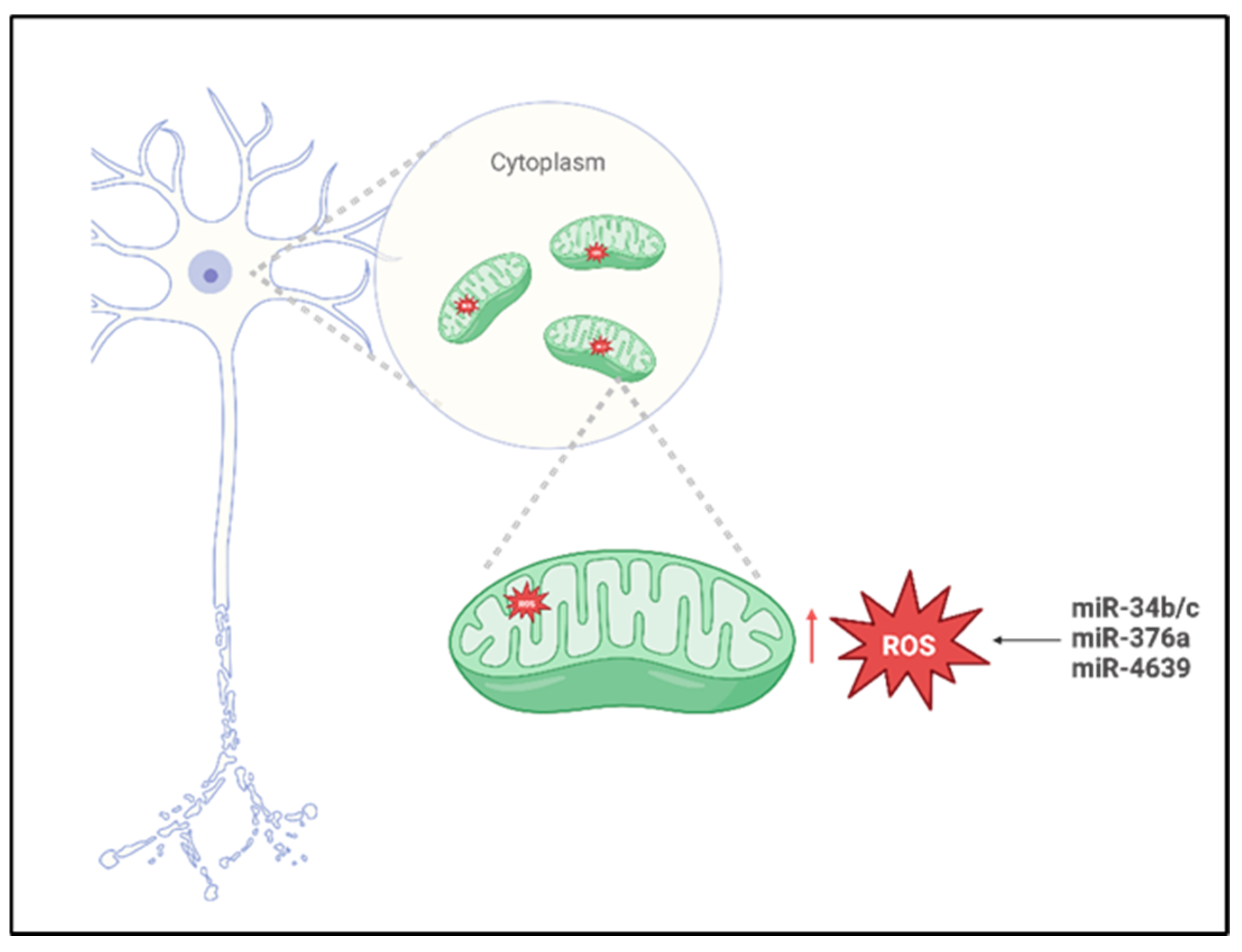 Biomedicines 14 00313 g002 Biomedicines 14 00313 g002
